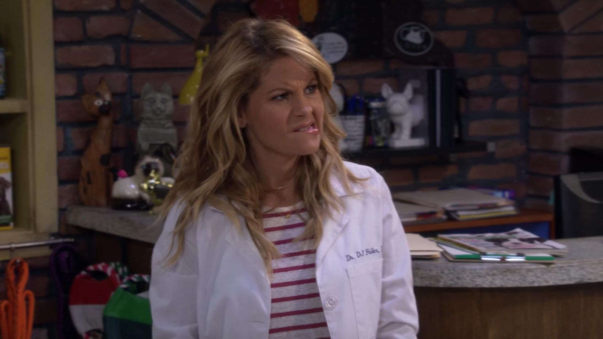Fuller House background