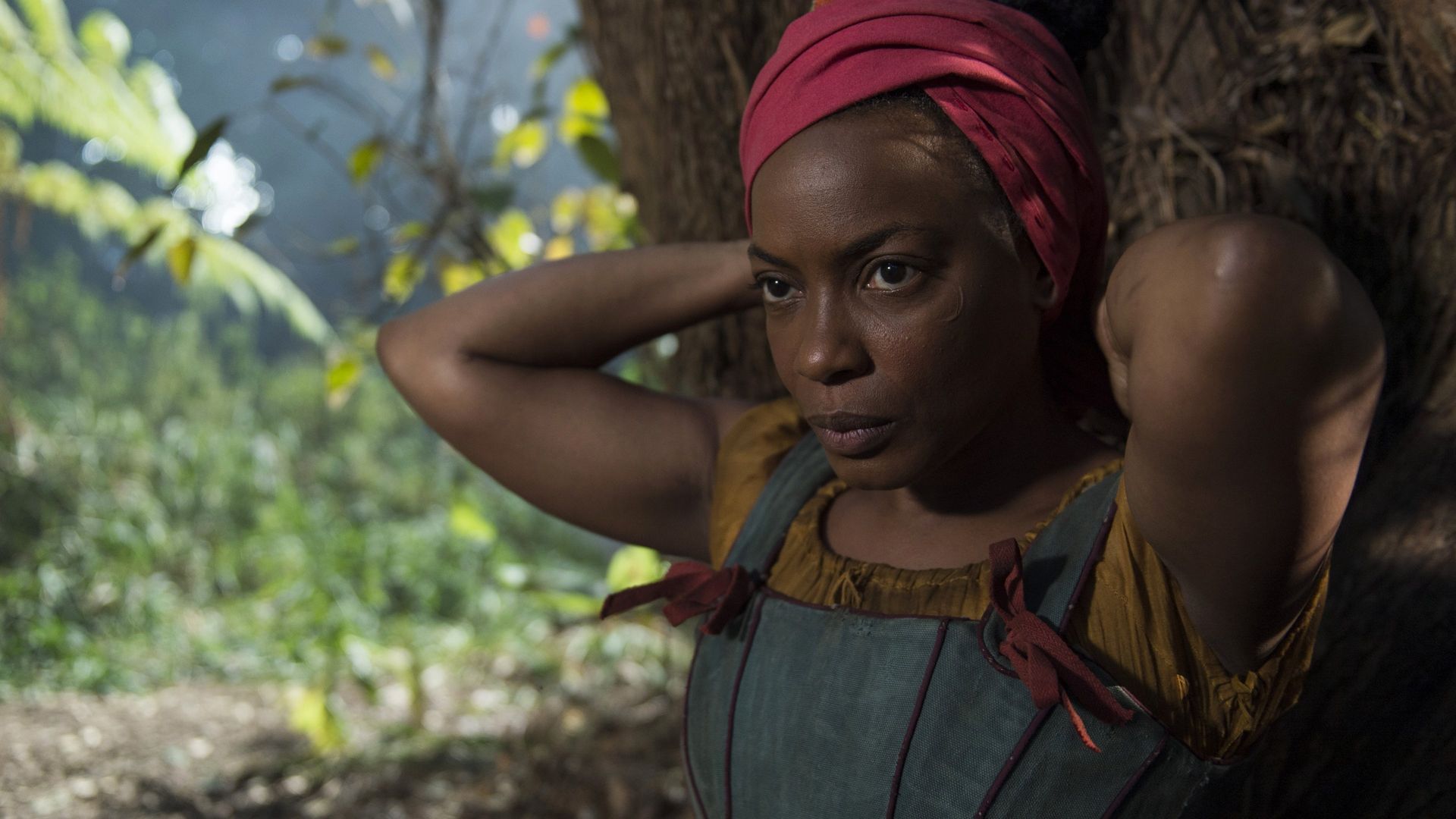 The Book of Negroes background