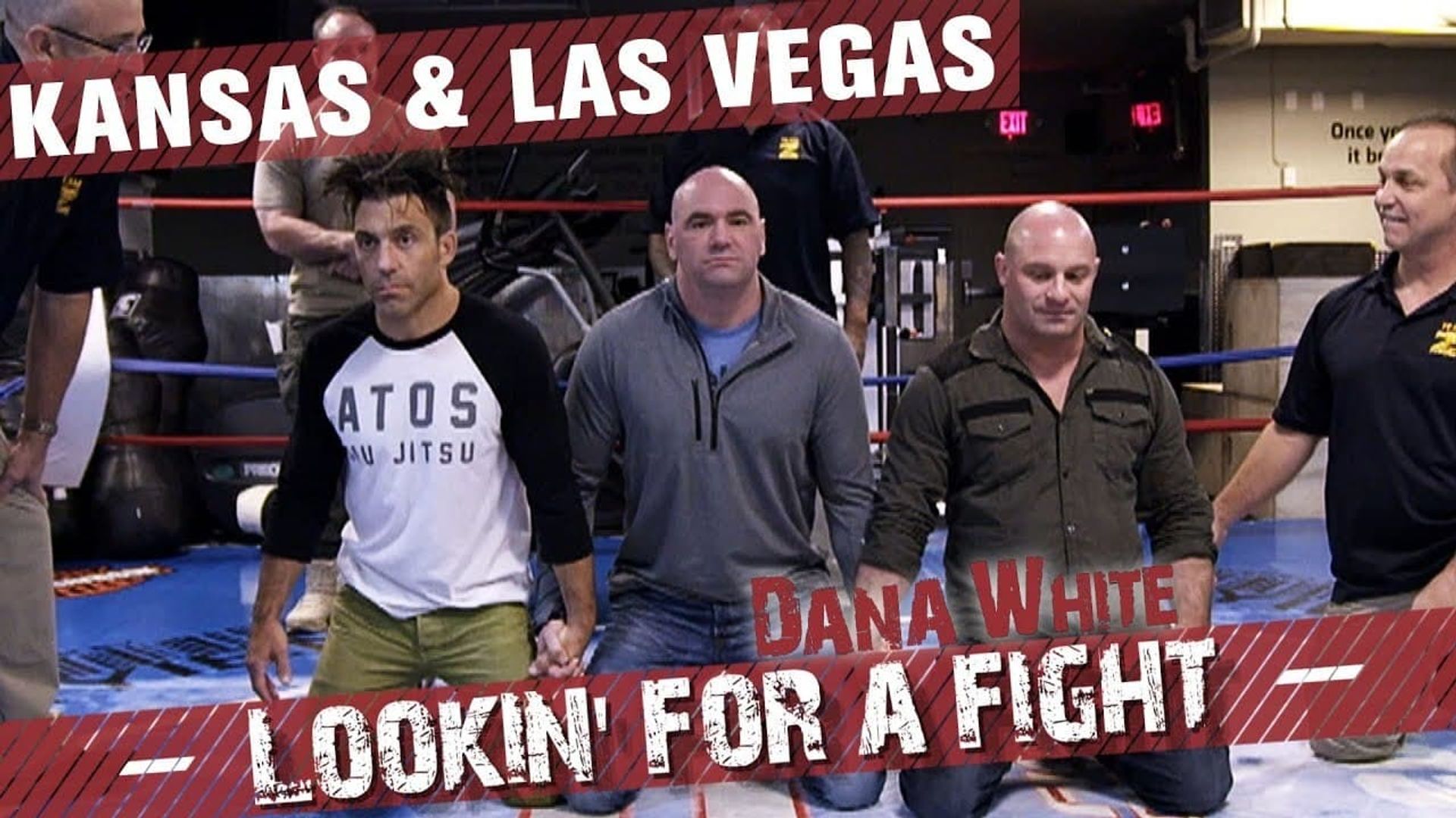 Dana White: Lookin' for a Fight background