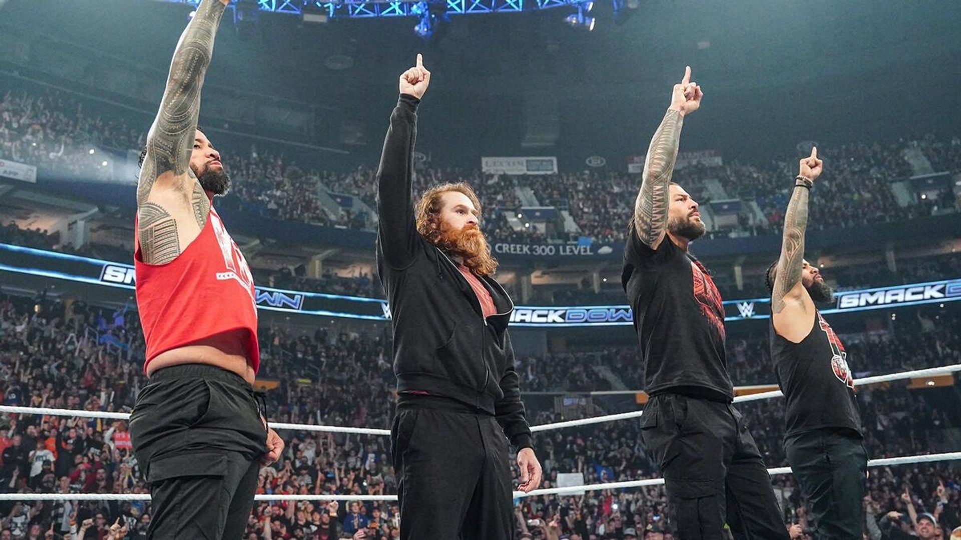 World Wrestling Federation Smackdown! background