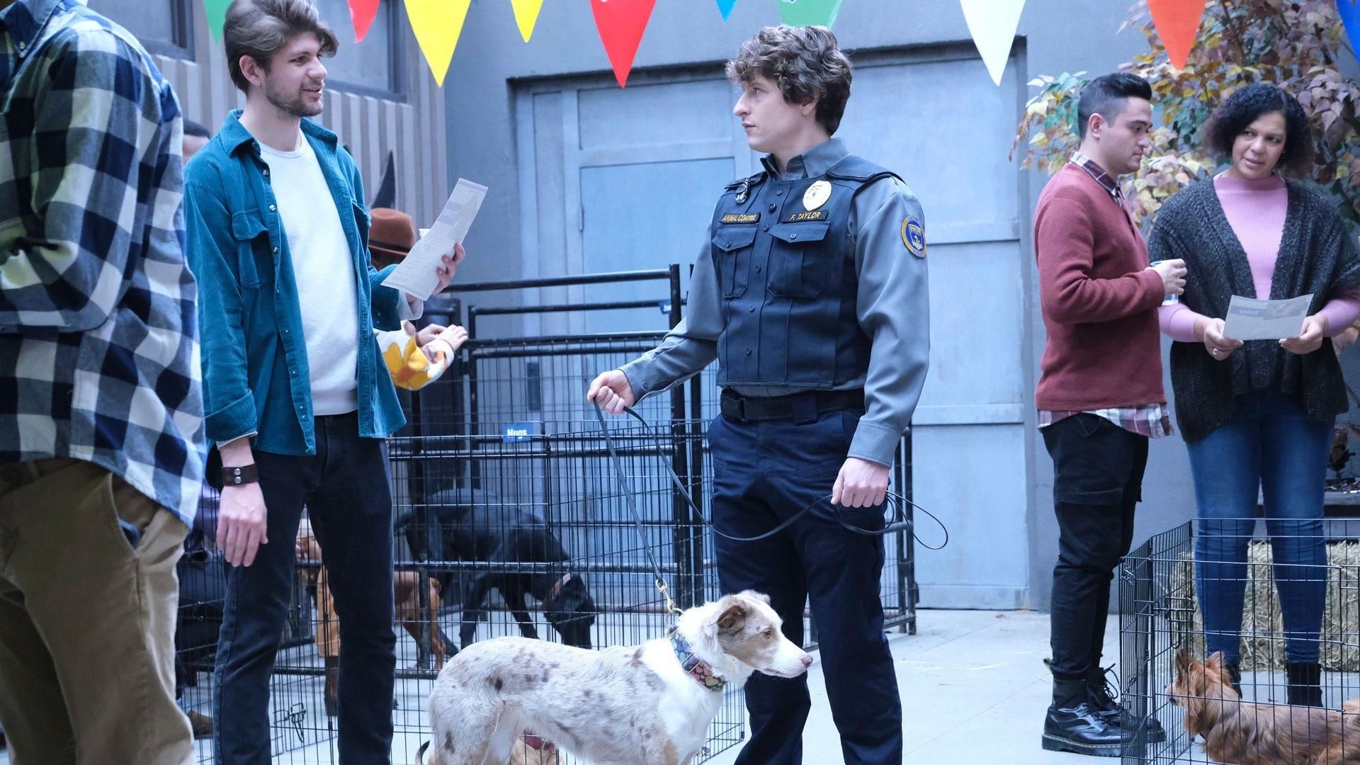 Animal Control background