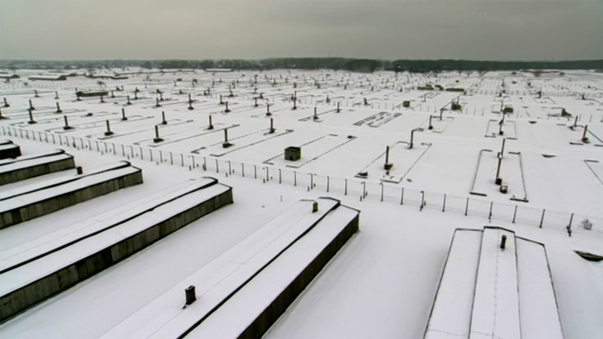 Auschwitz: Inside the Nazi State background