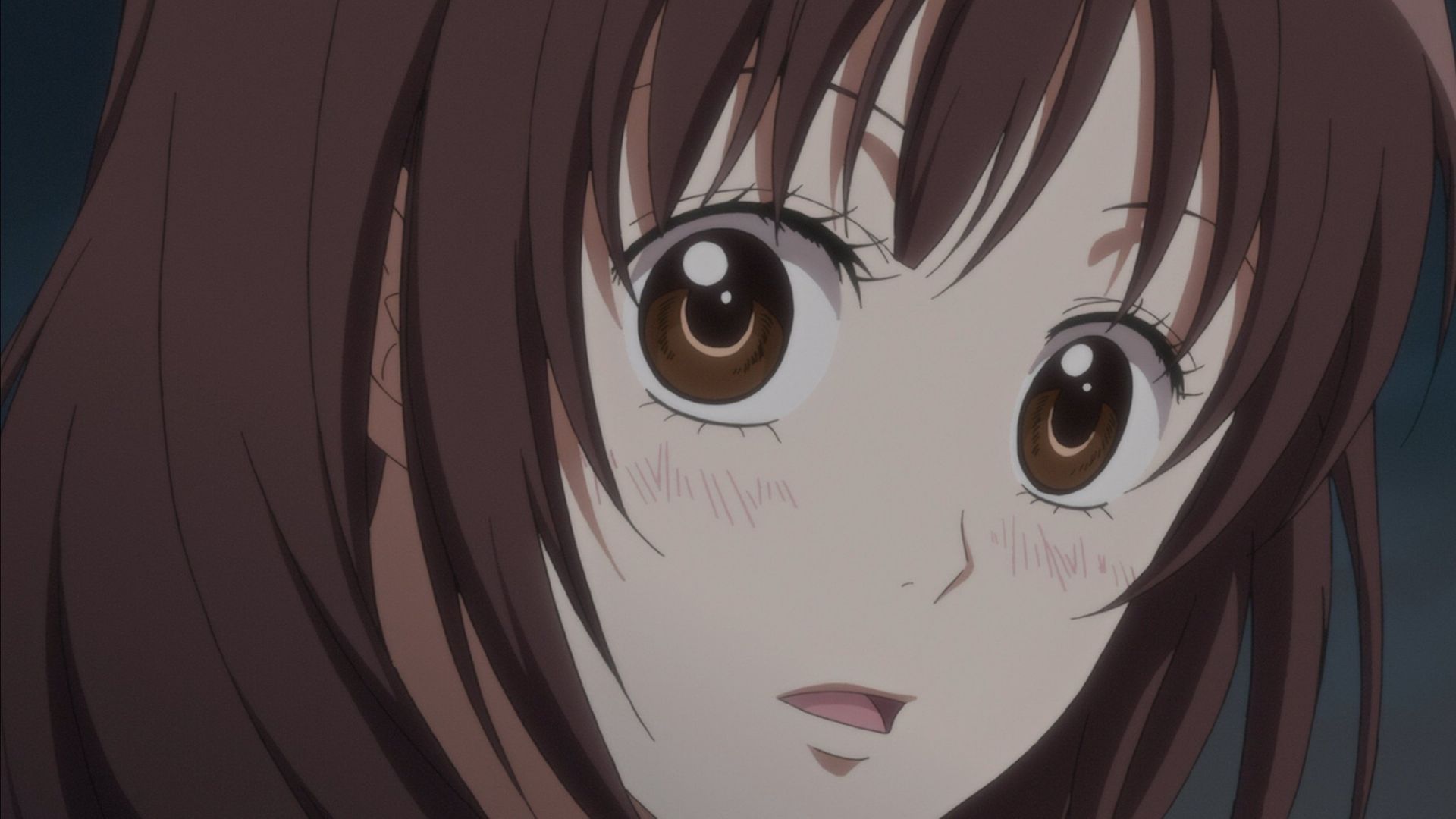 Ookami shoujo to kuro ouji background