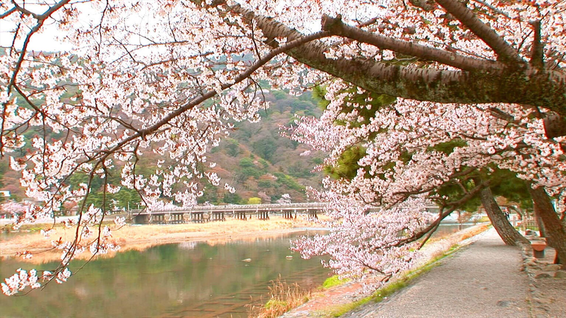 Core Kyoto background