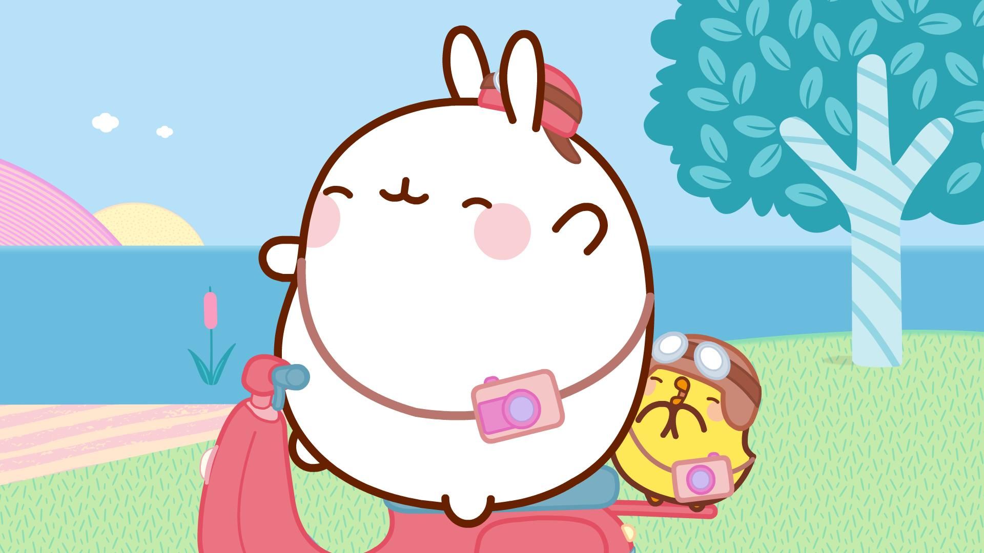Molang background