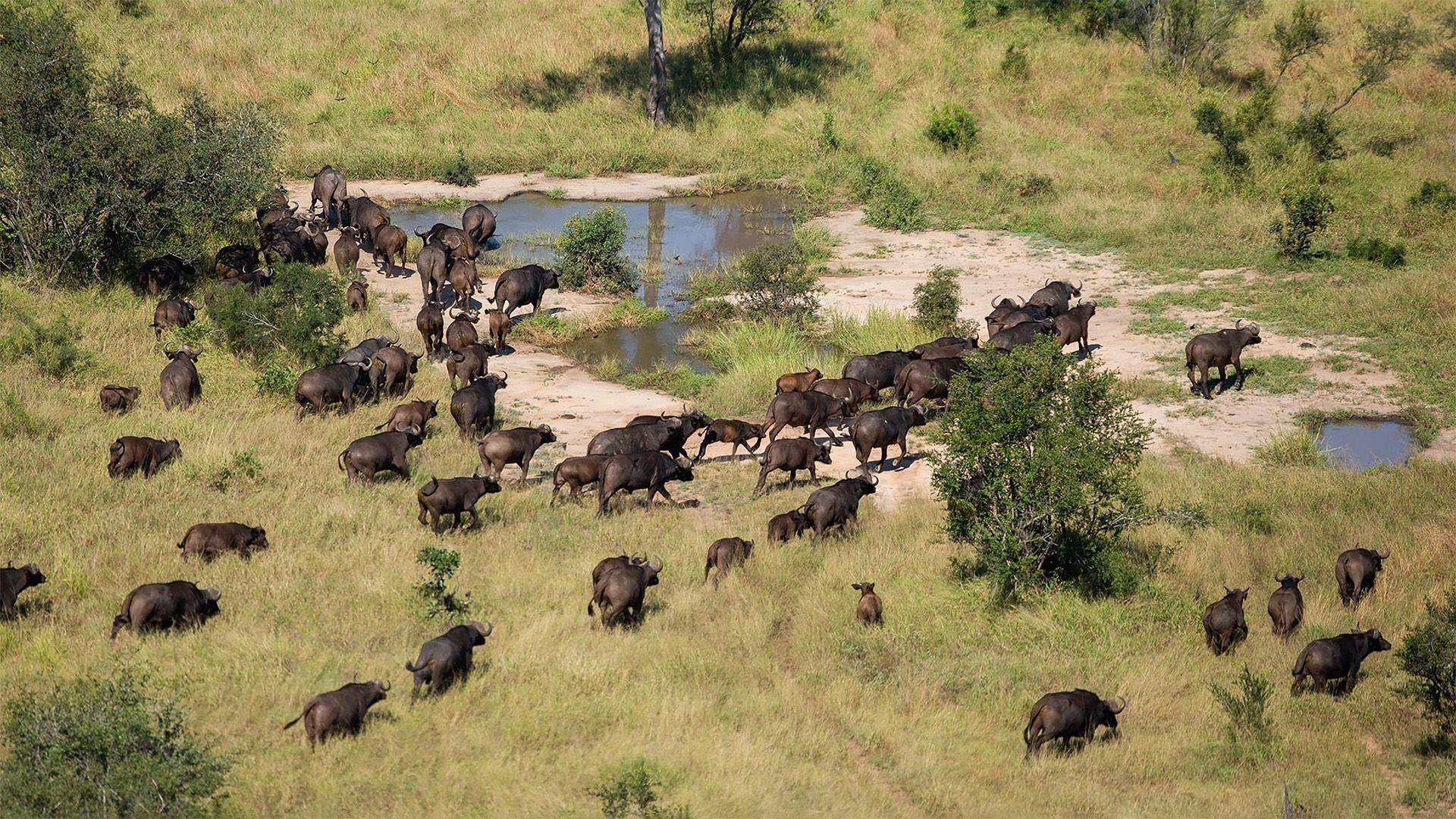 Extreme Airport Africa background