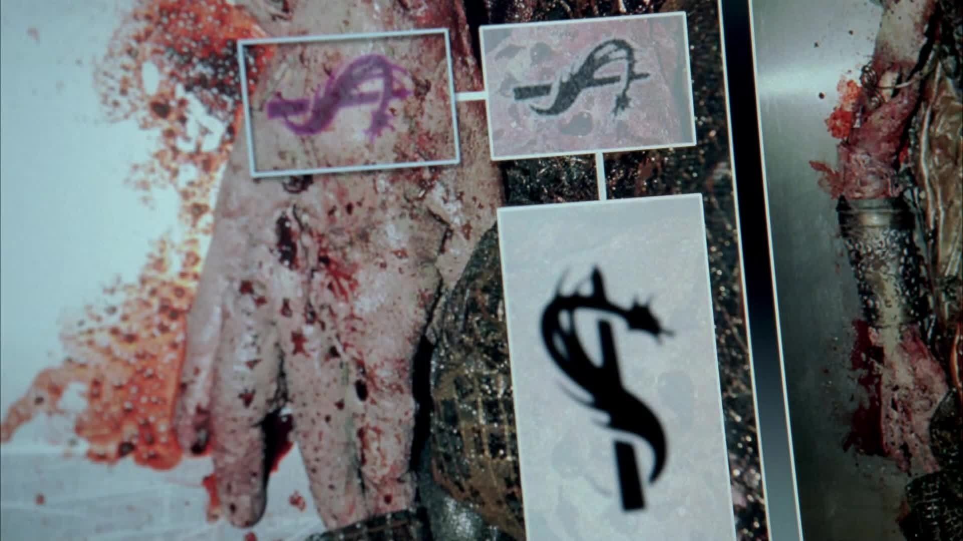 Bones background