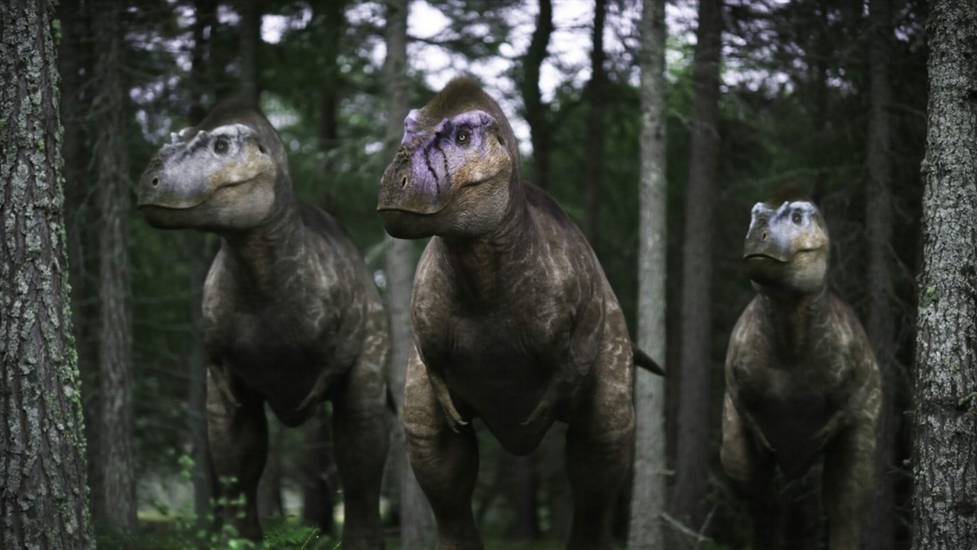 Walking with Dinosaurs background