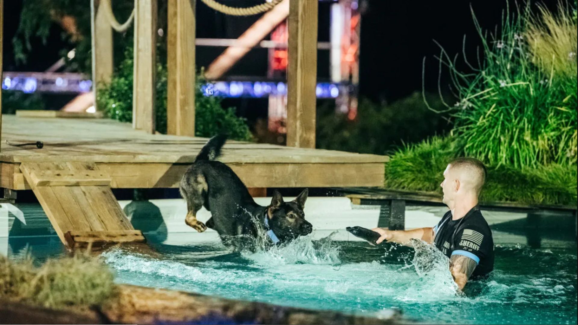 America's Top Dog background