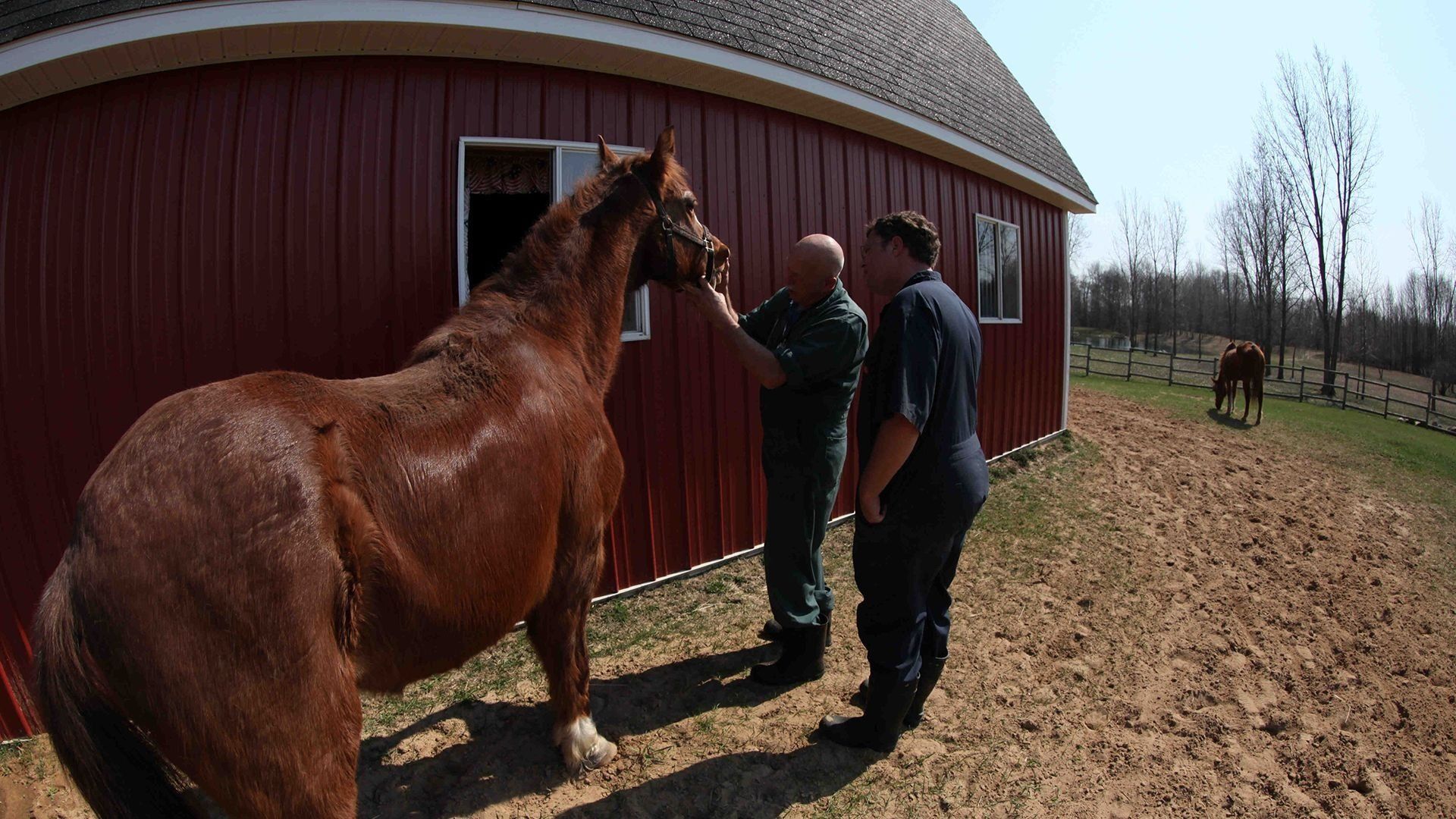 The Incredible Dr. Pol background