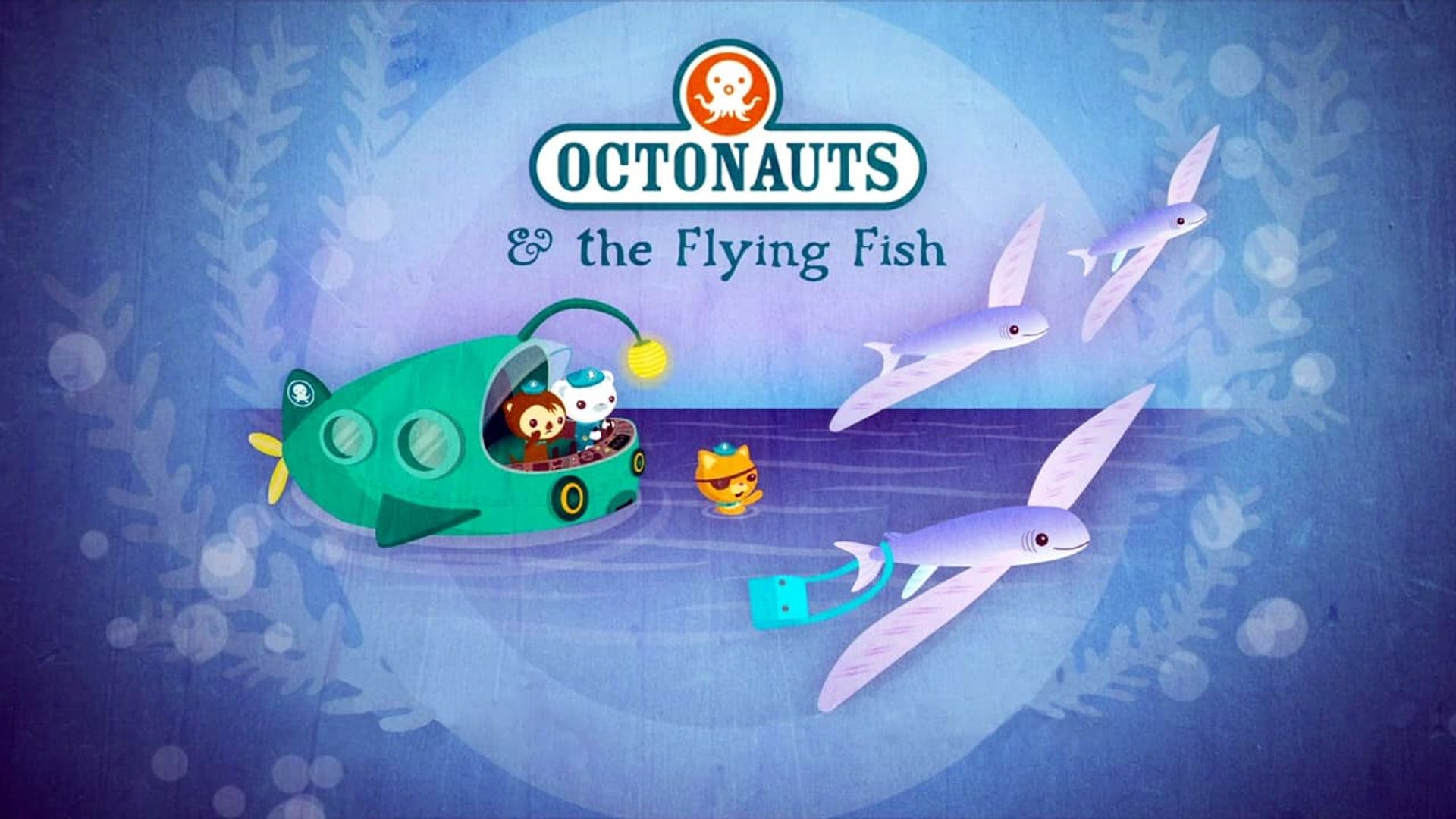 The Octonauts background