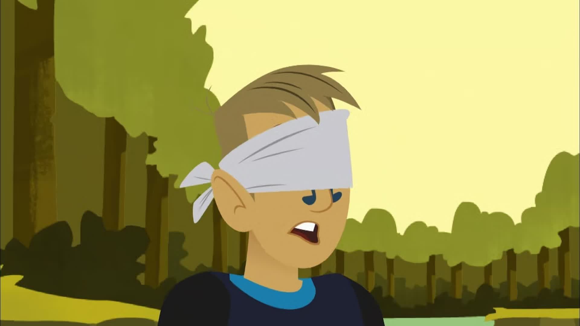 Wild Kratts background