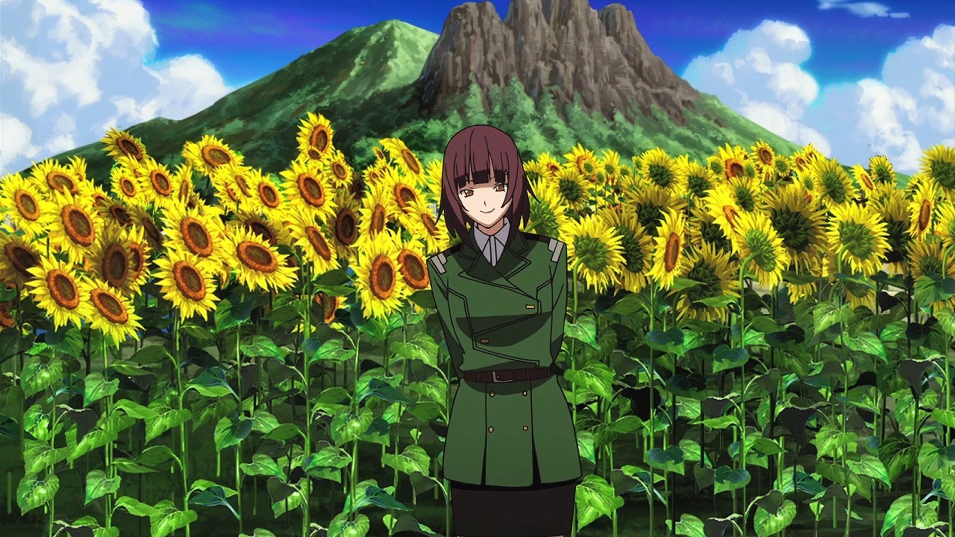 Shirogane no Ishi: Argevollen background