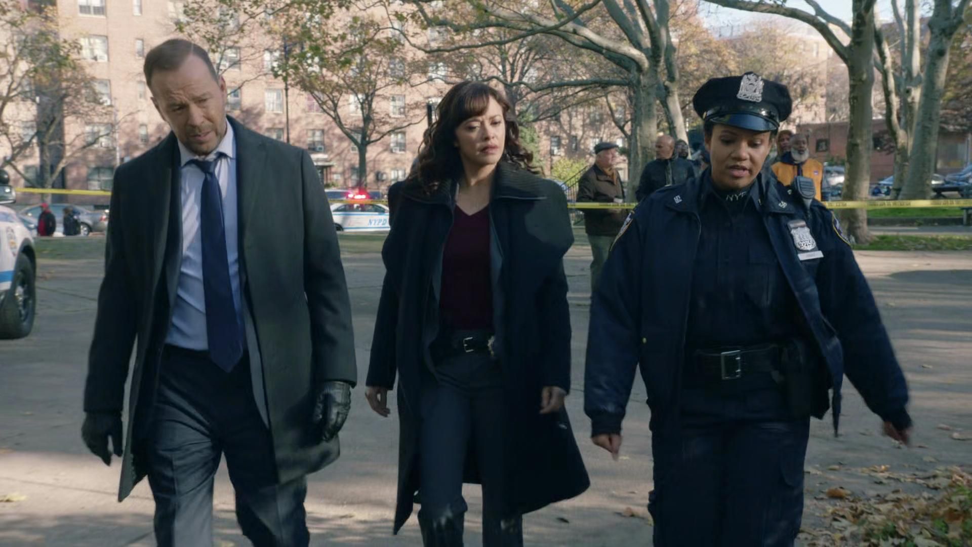 Blue Bloods background