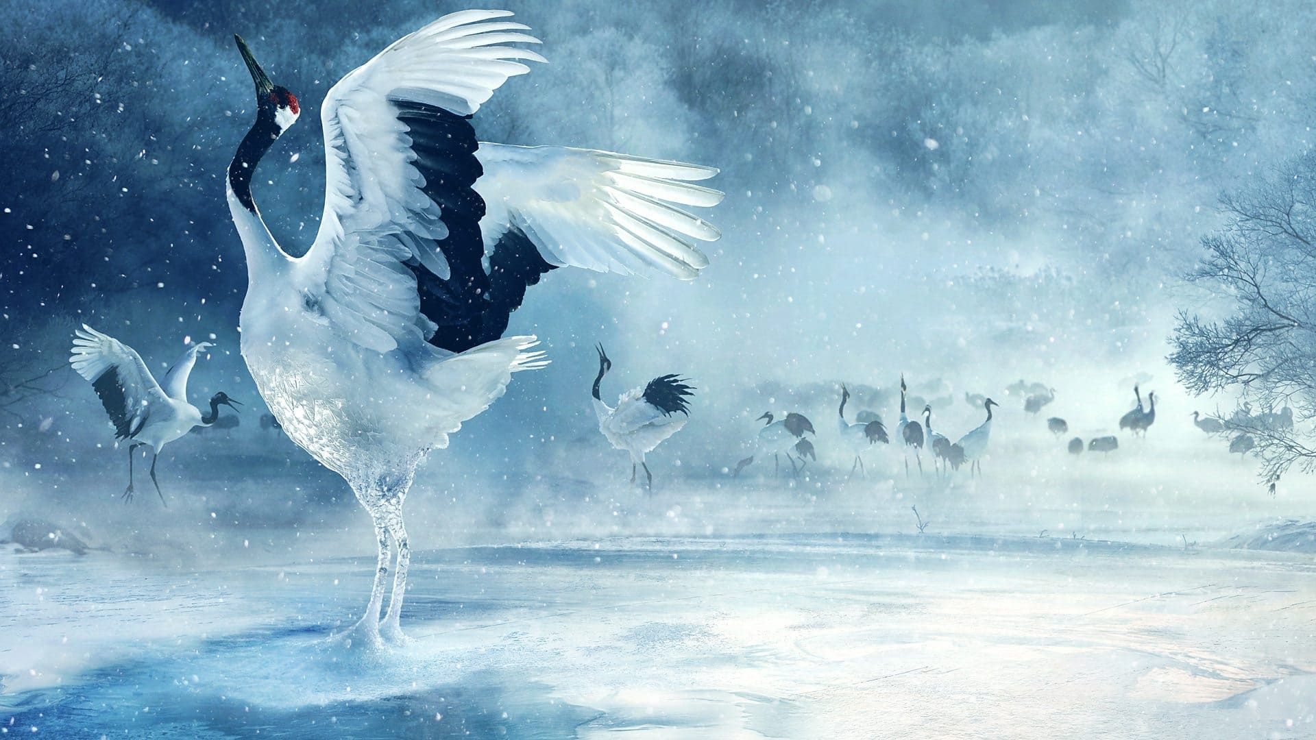Asia background