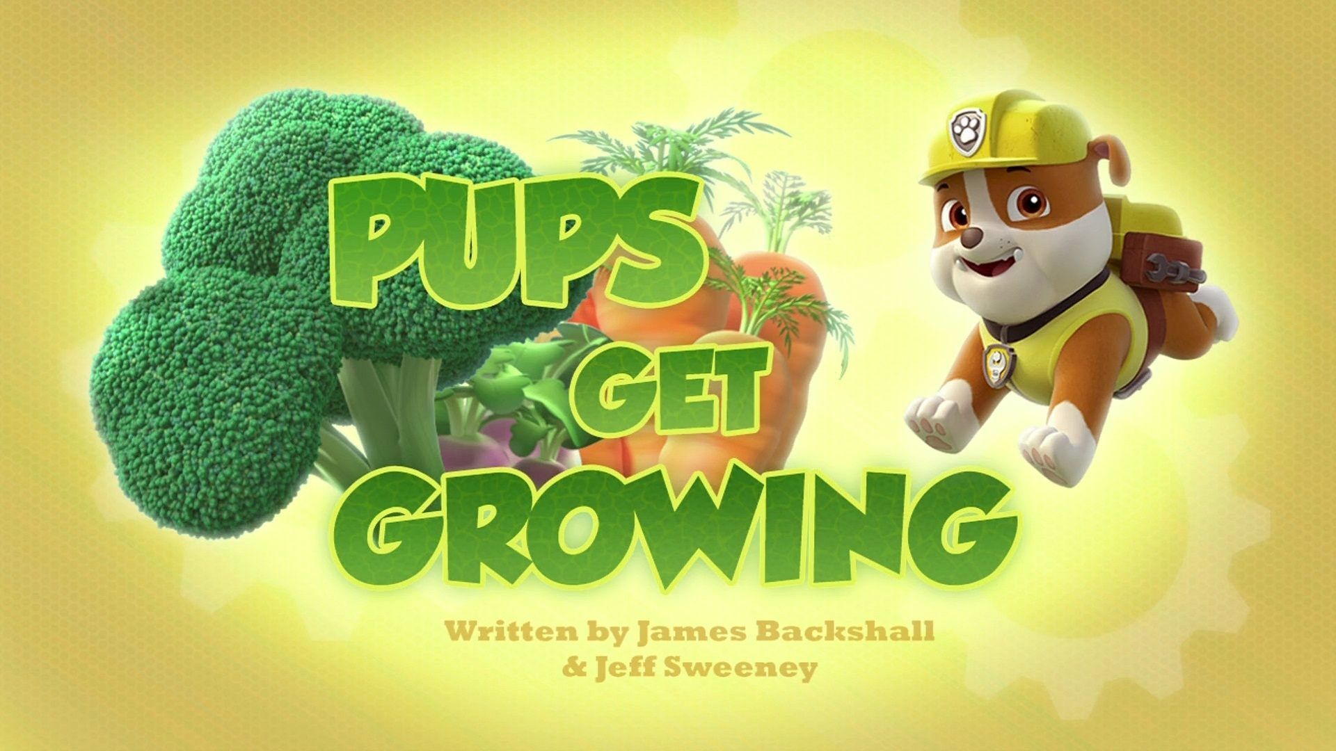 PAW Patrol background