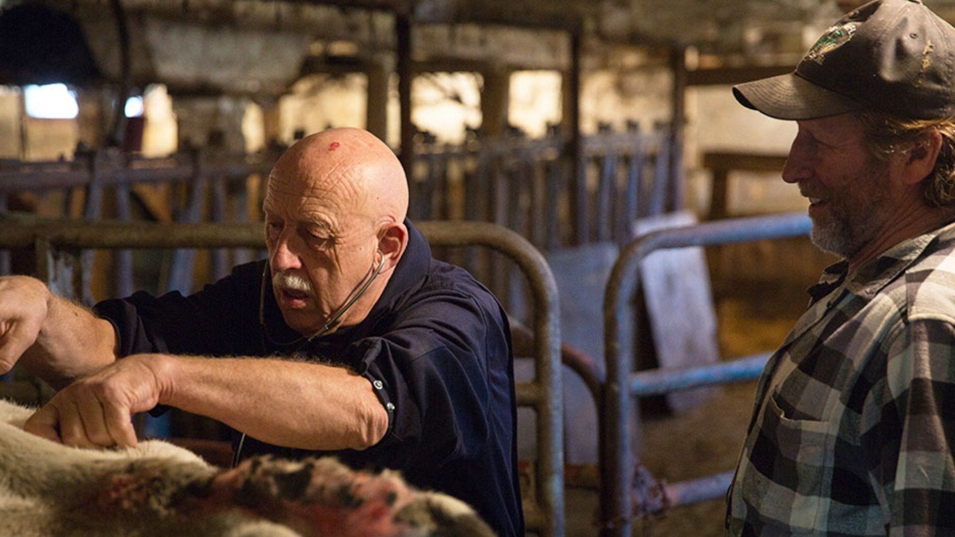 The Incredible Dr. Pol background