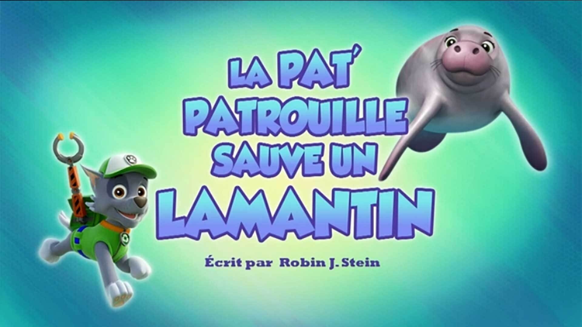 PAW Patrol background