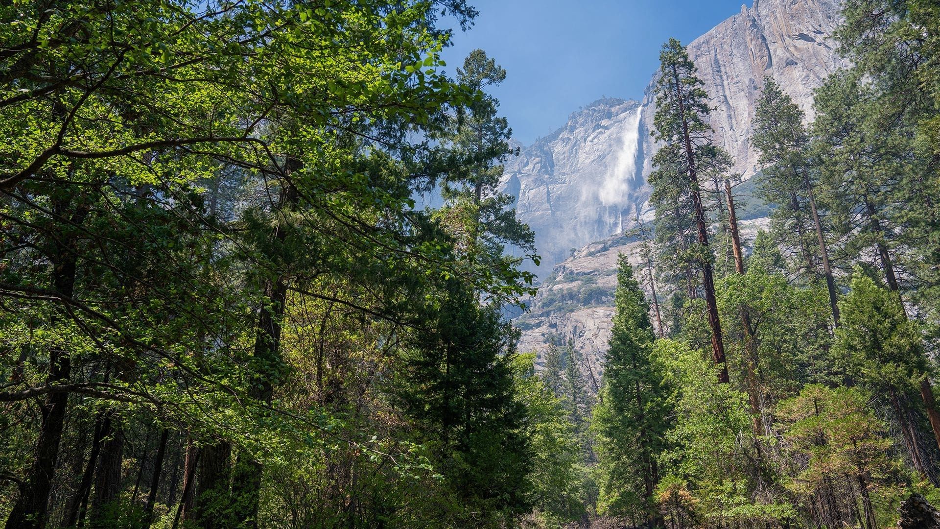 America's National Parks background