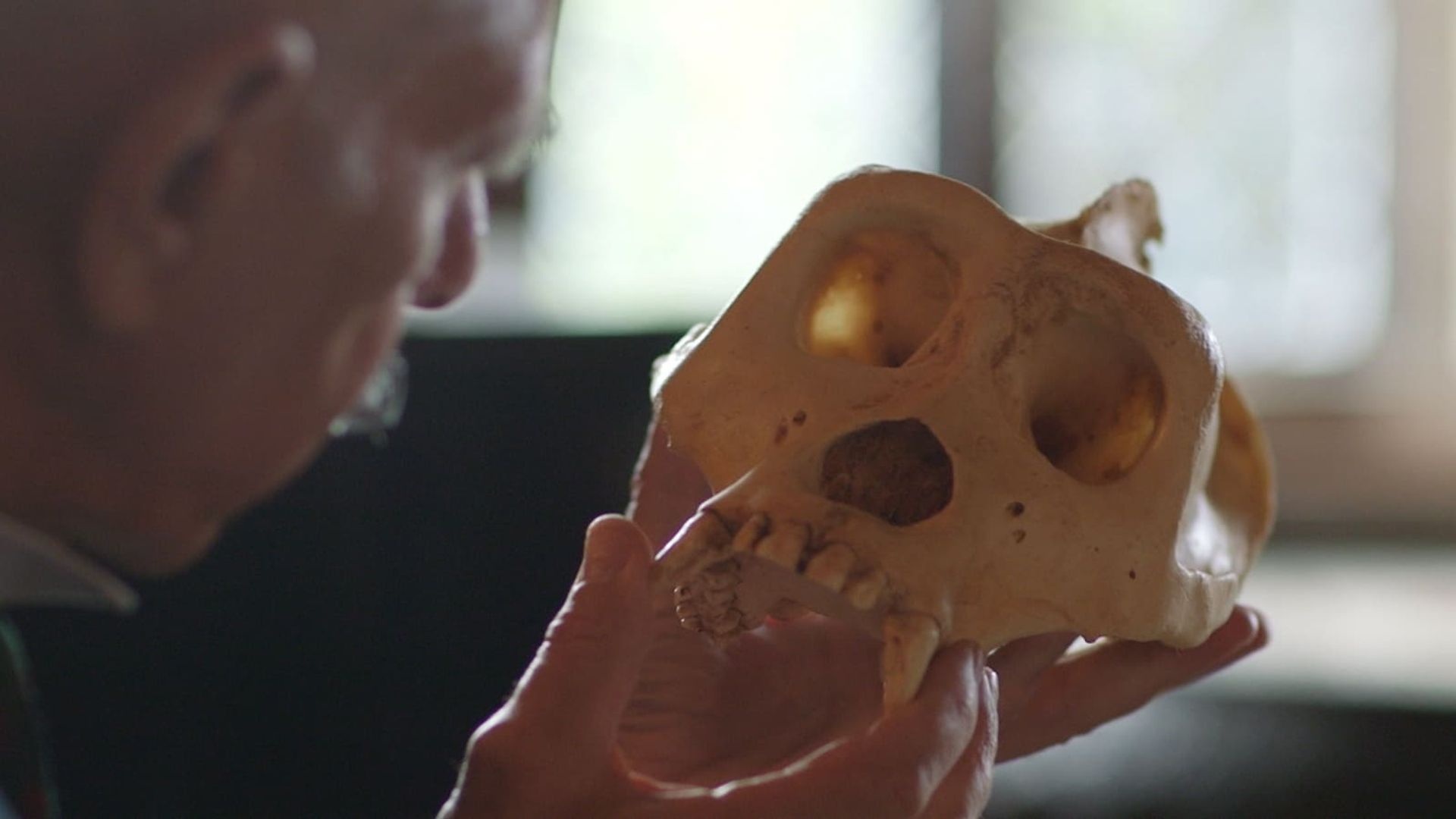 History's Greatest Hoaxes background