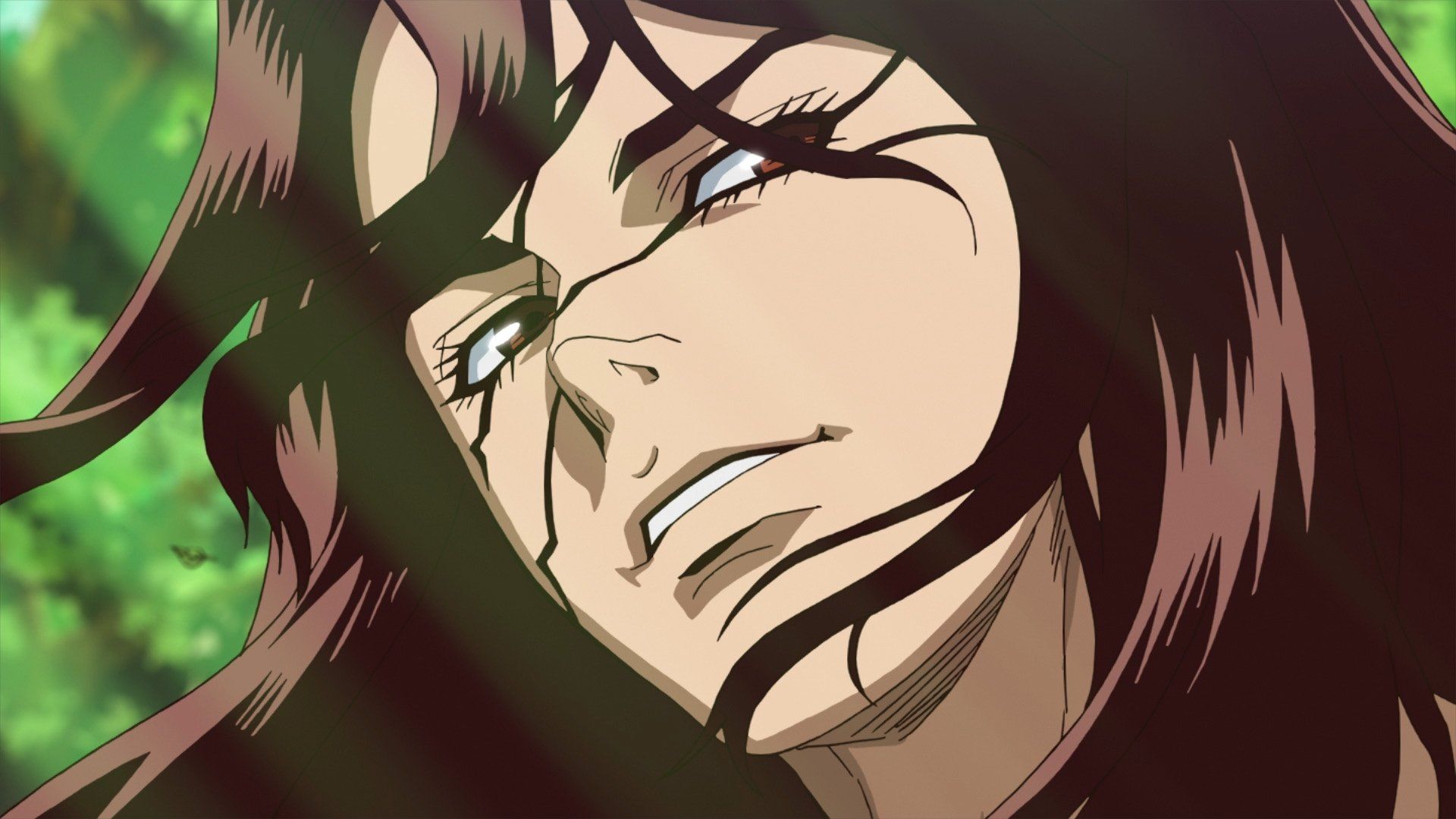 Dr. Stone background