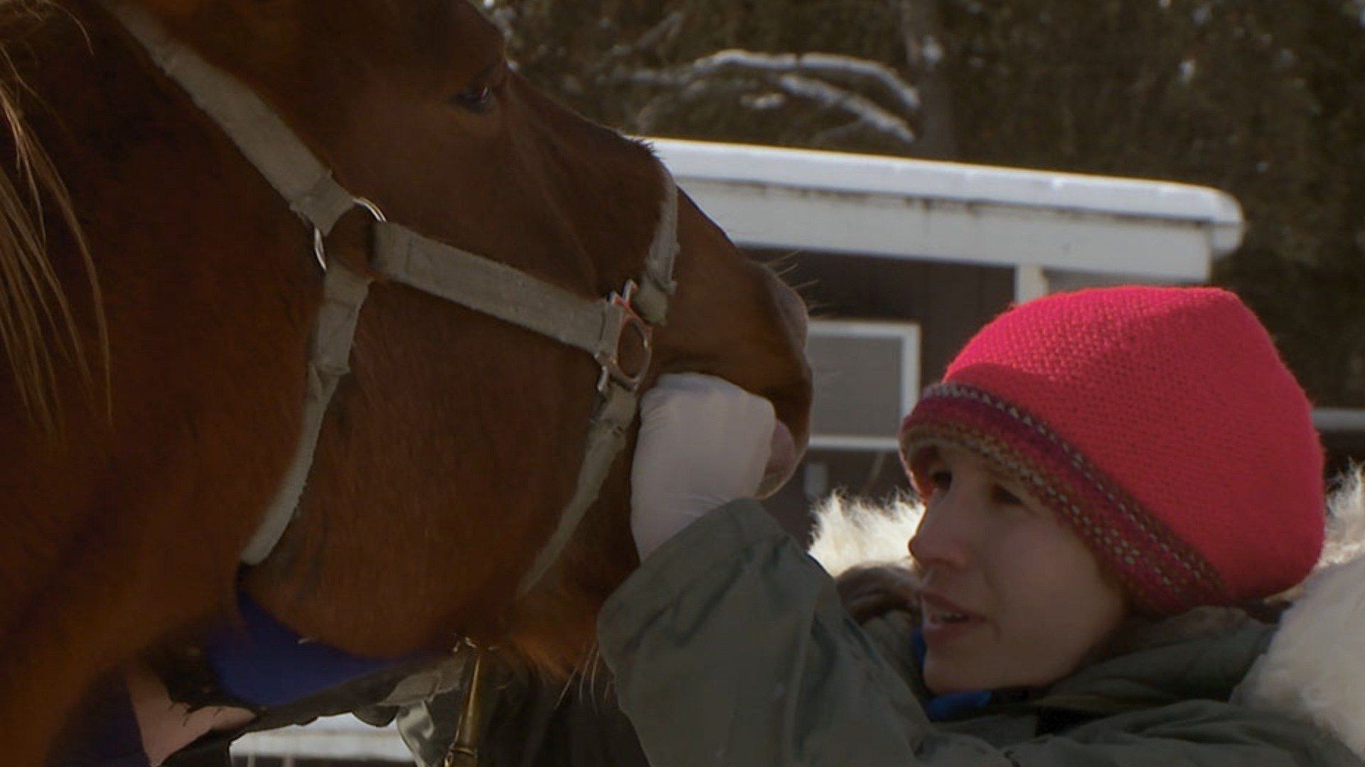 The Incredible Dr. Pol background