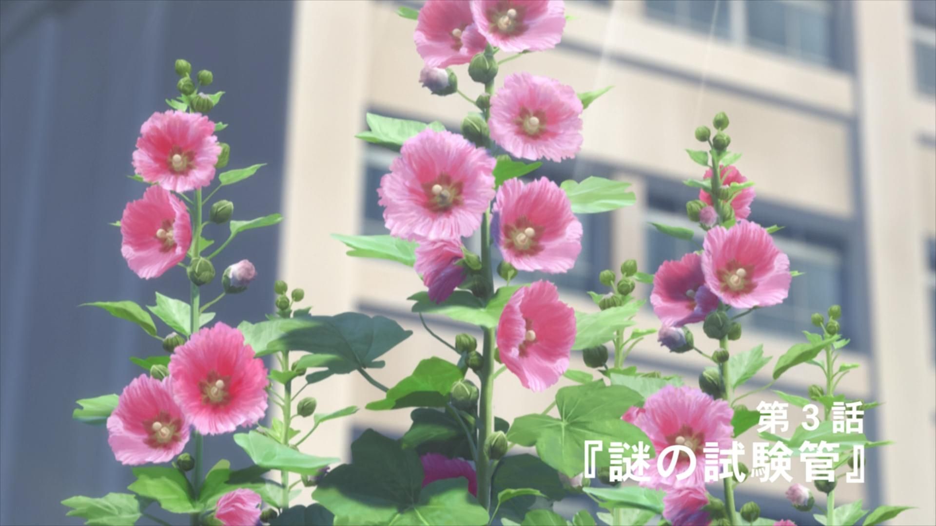 Mysterious Girlfriend X background