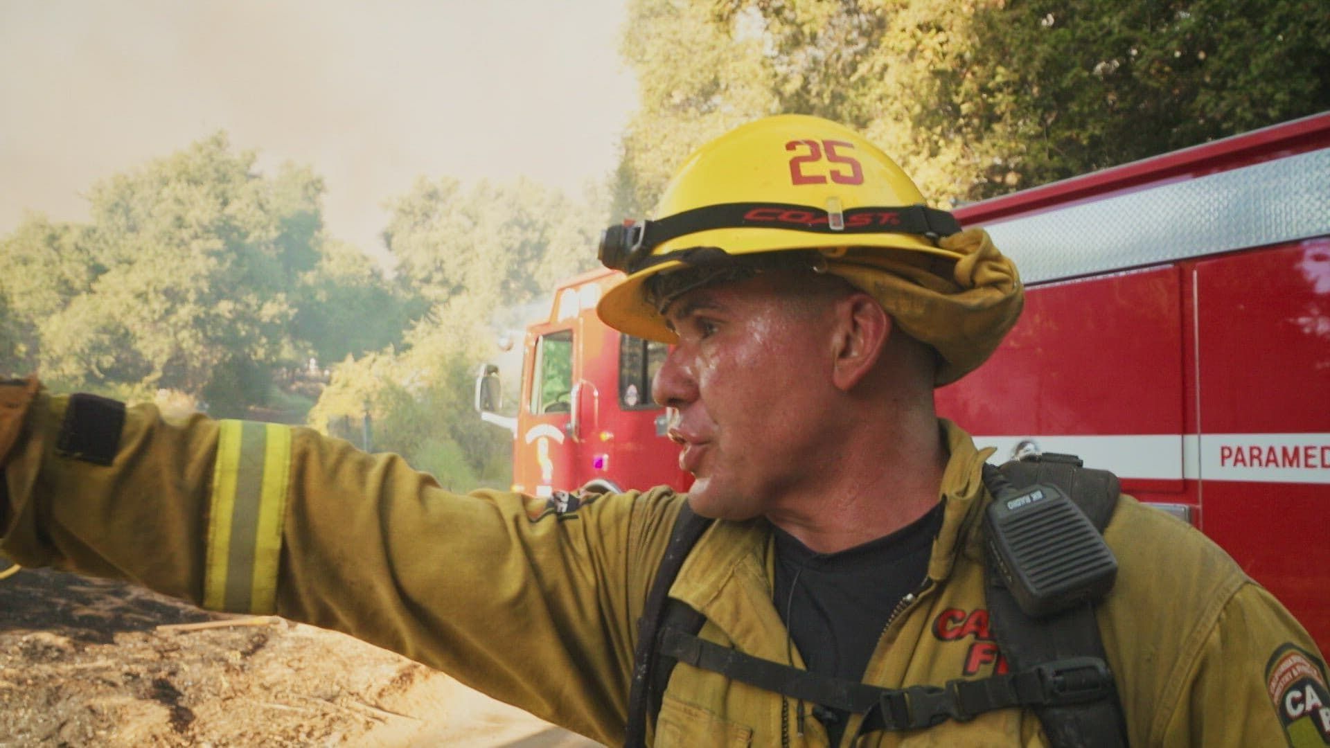 Cal Fire background