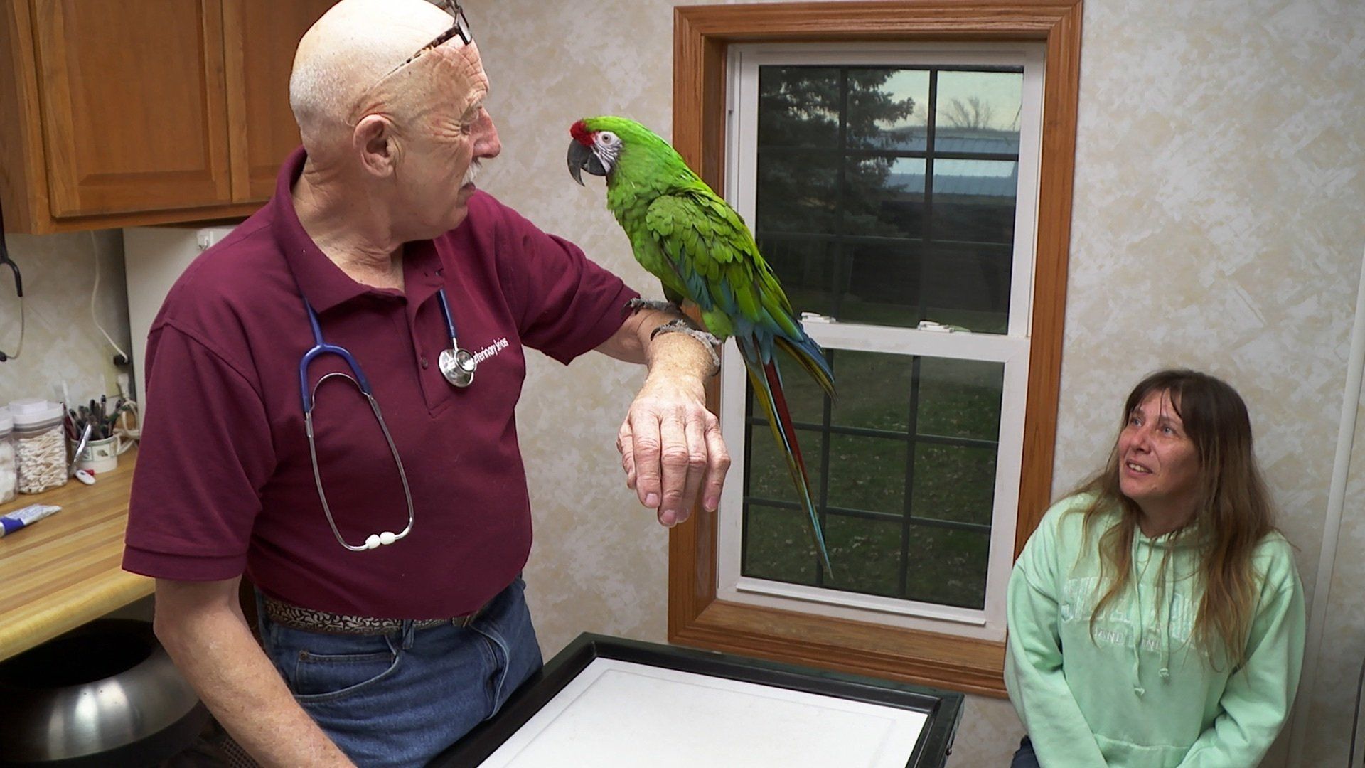 The Incredible Dr. Pol background