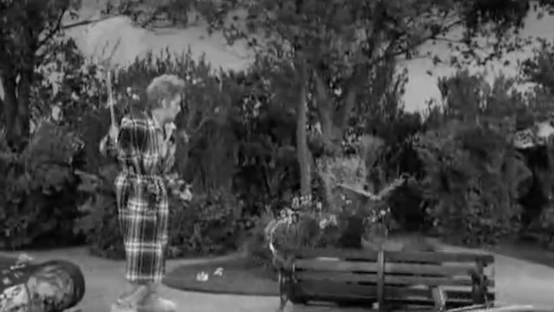 The Lucy Show background