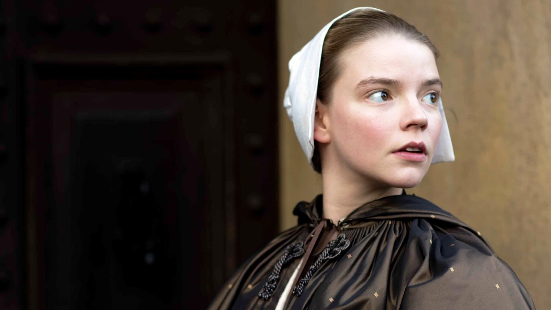 The Miniaturist background
