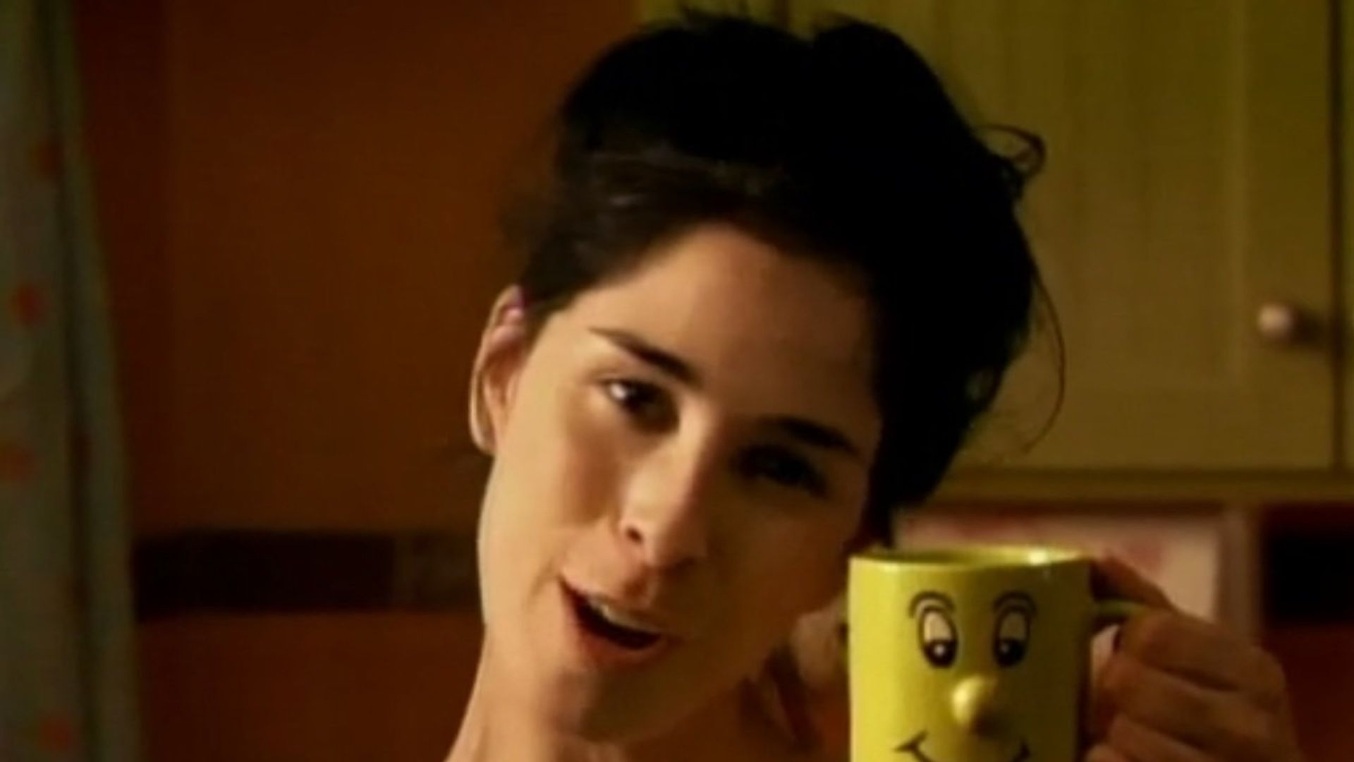 The Sarah Silverman Program. background