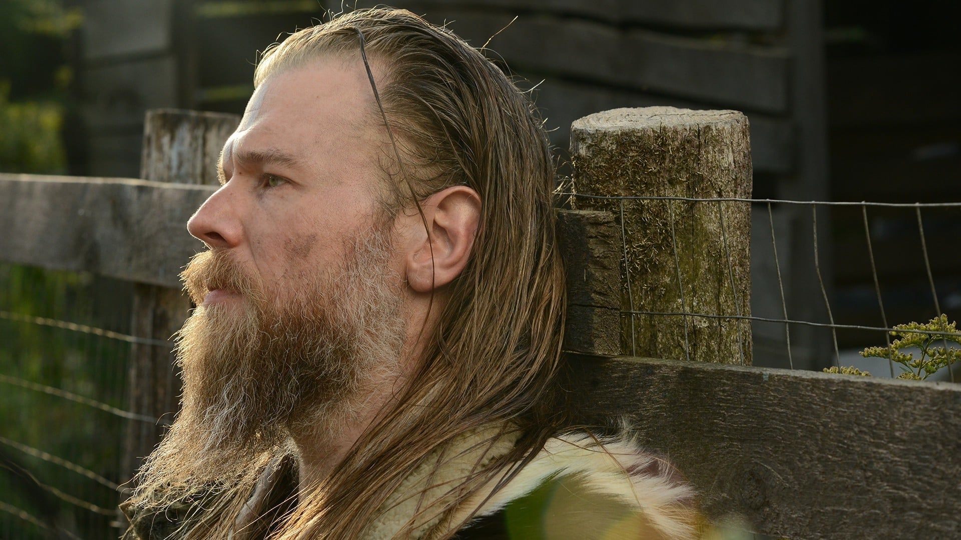Outsiders background