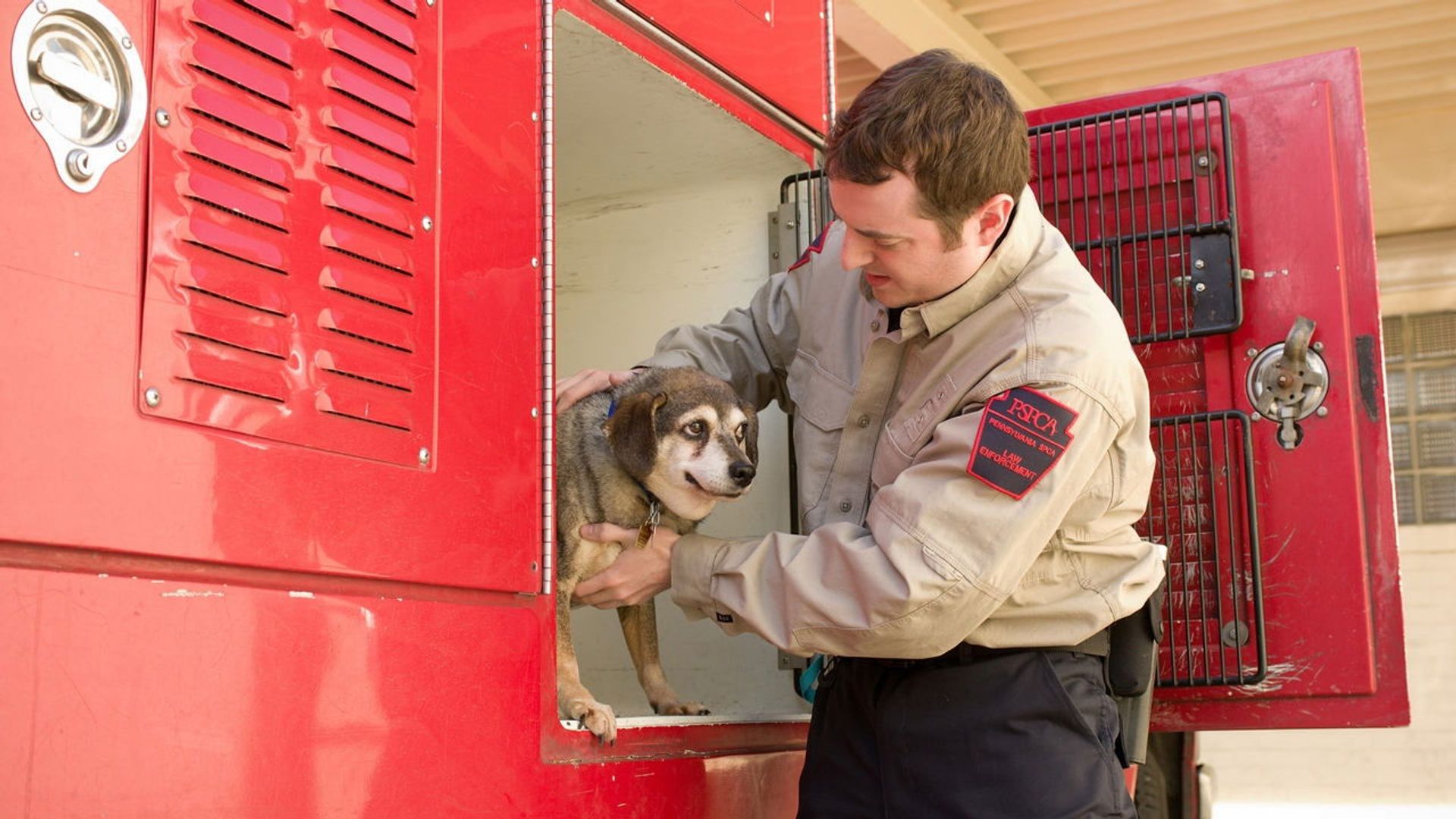 Animal Cops: Philadelphia background