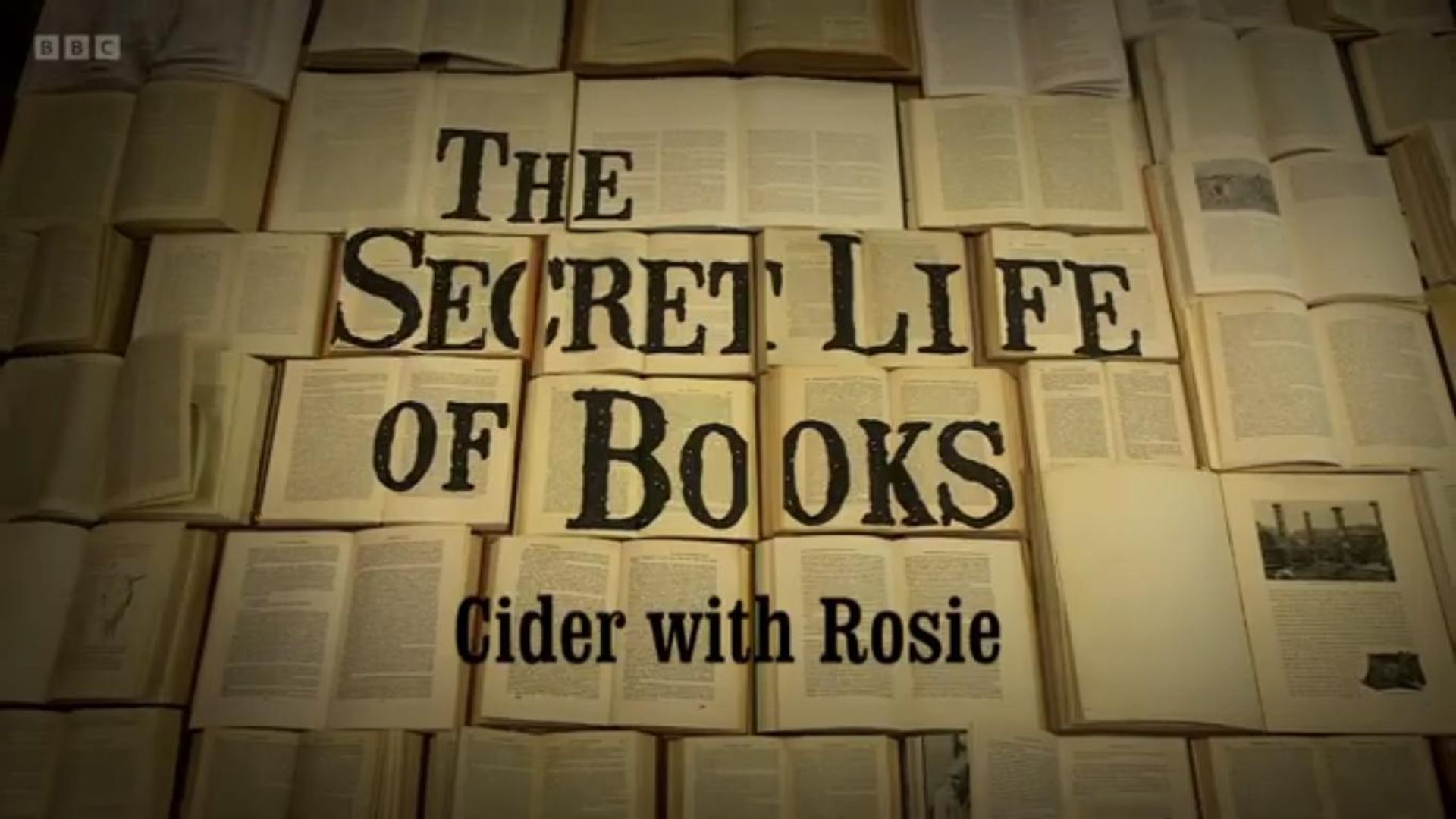 The Secret Life of Books background
