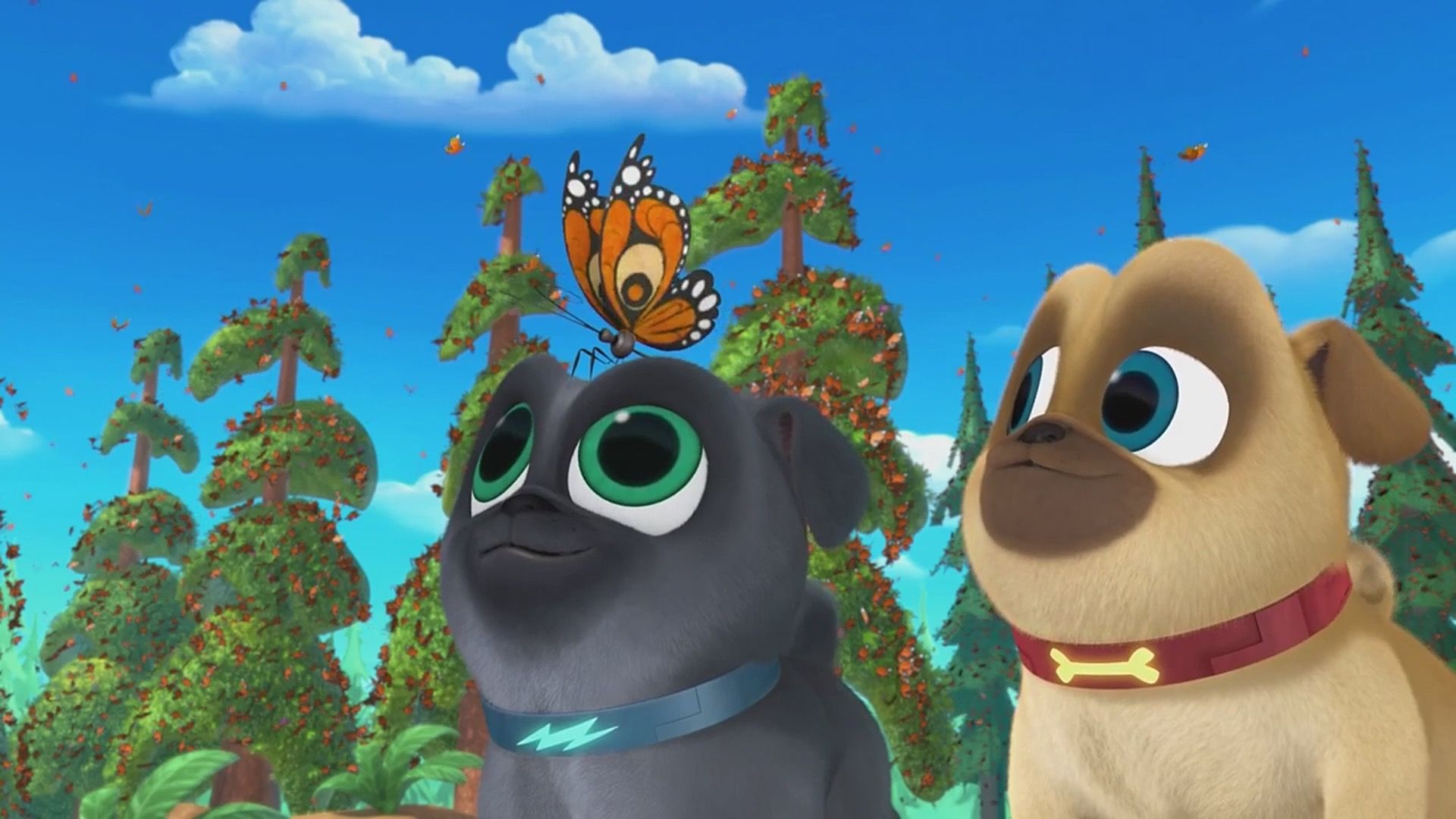Puppy Dog Pals background