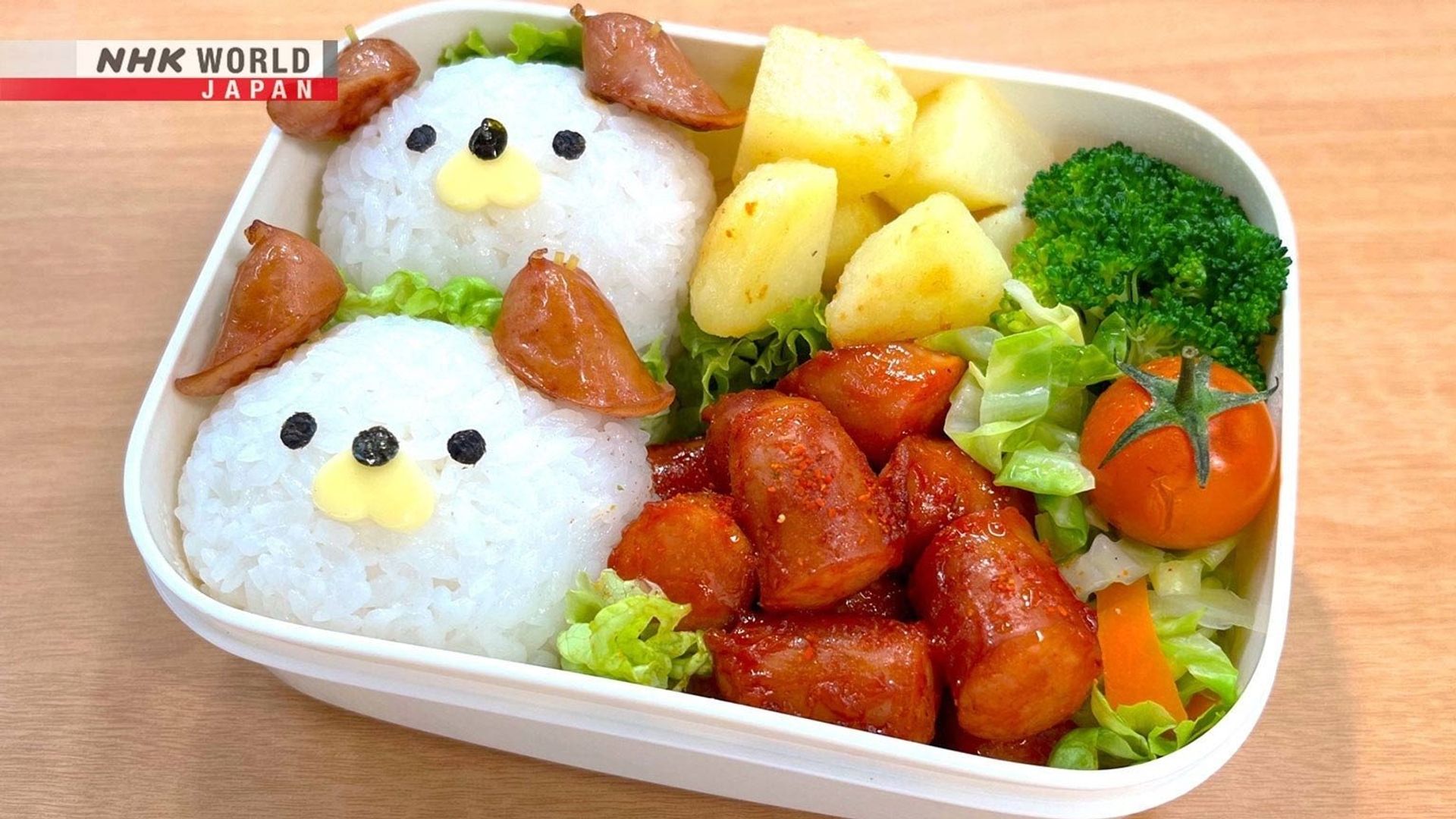 Bento Expo: The Global Lunchbox Project background