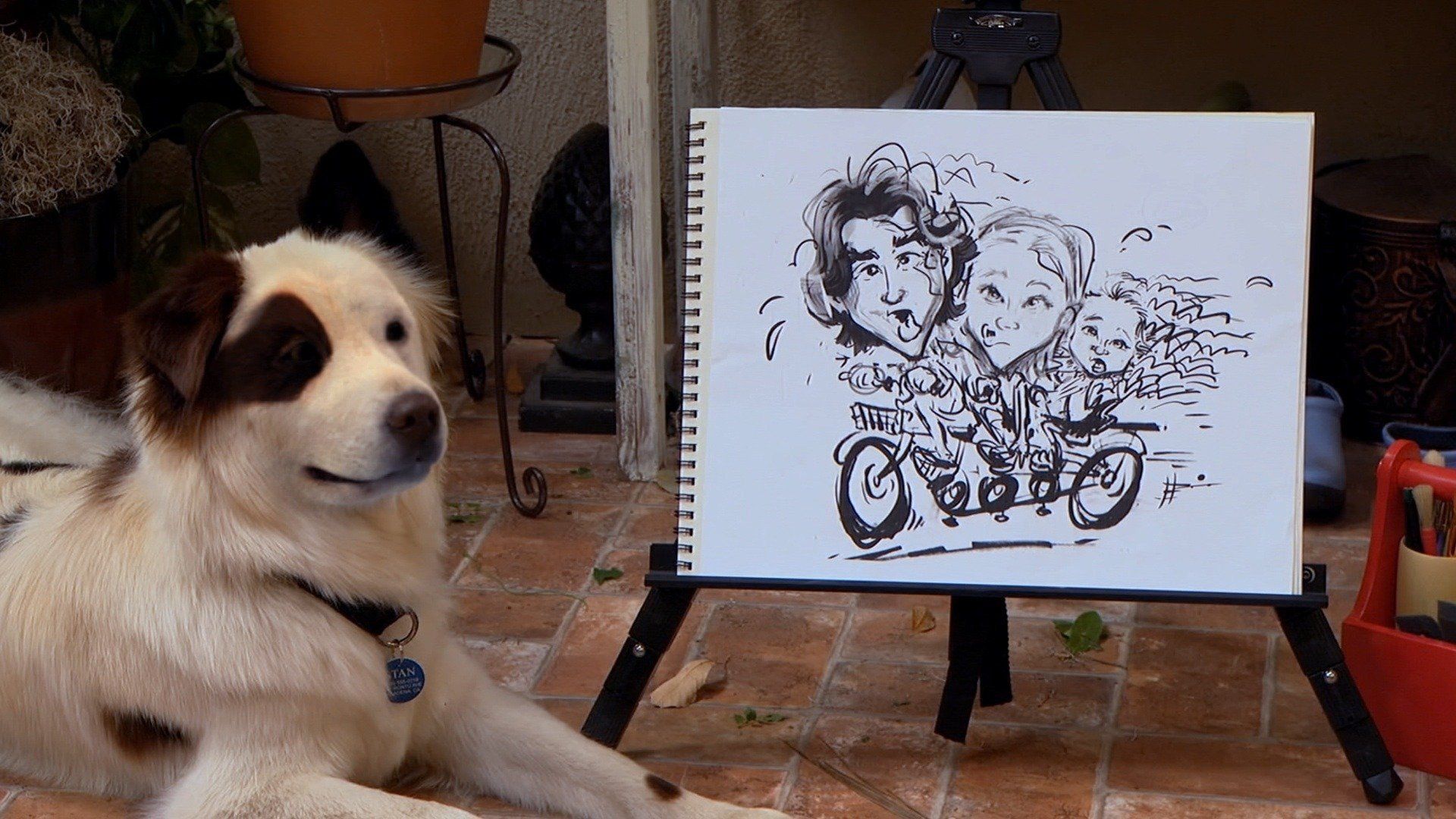 Dog with a Blog background