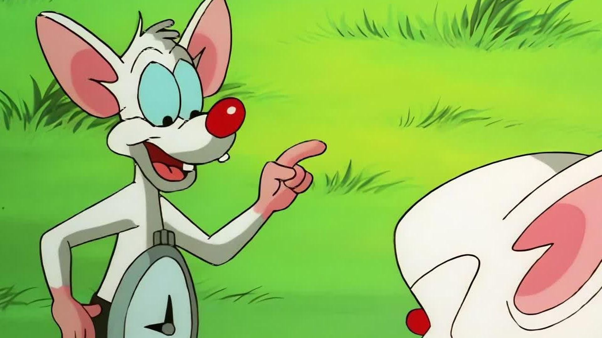 Pinky and the Brain background