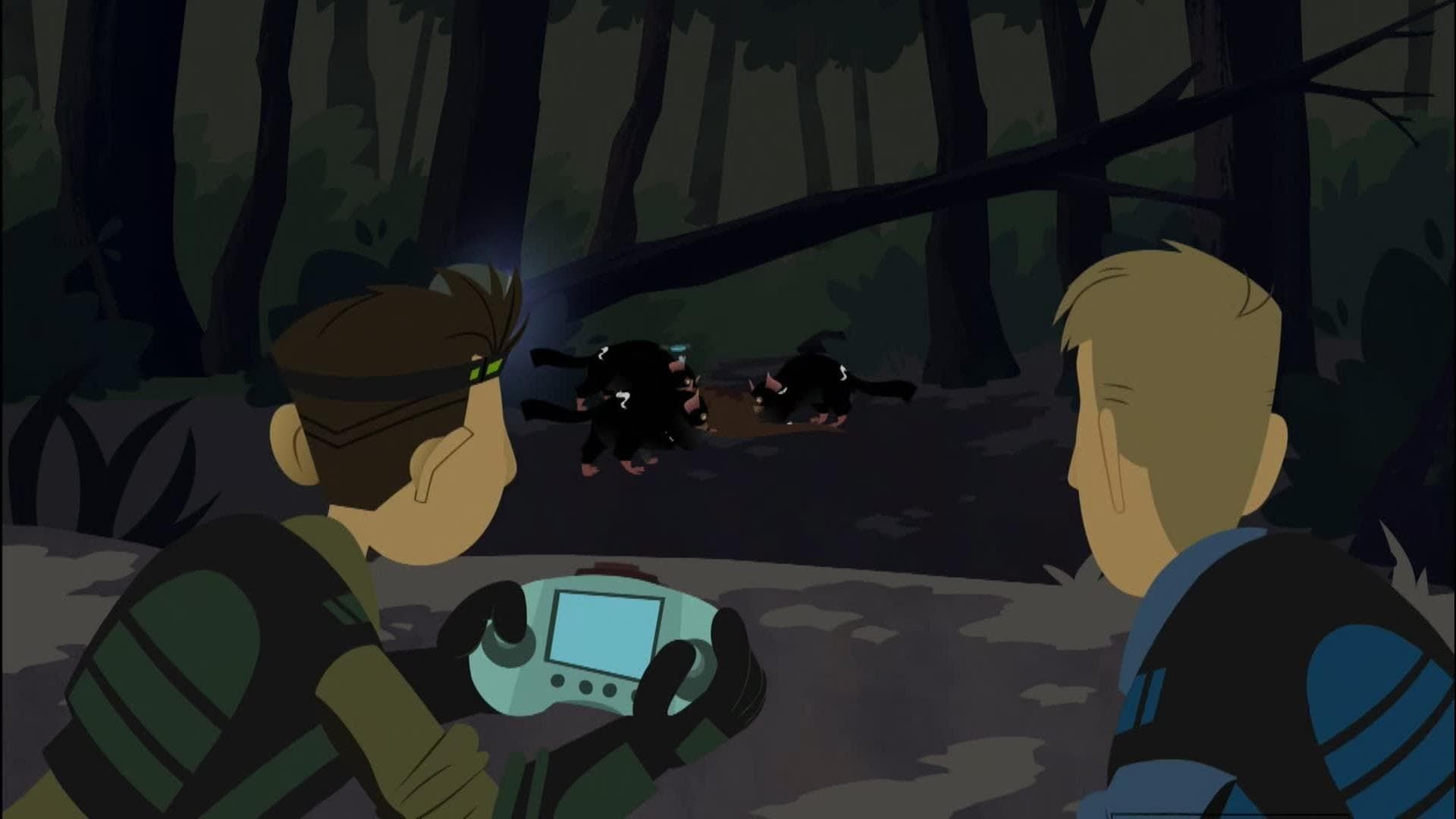 Wild Kratts background