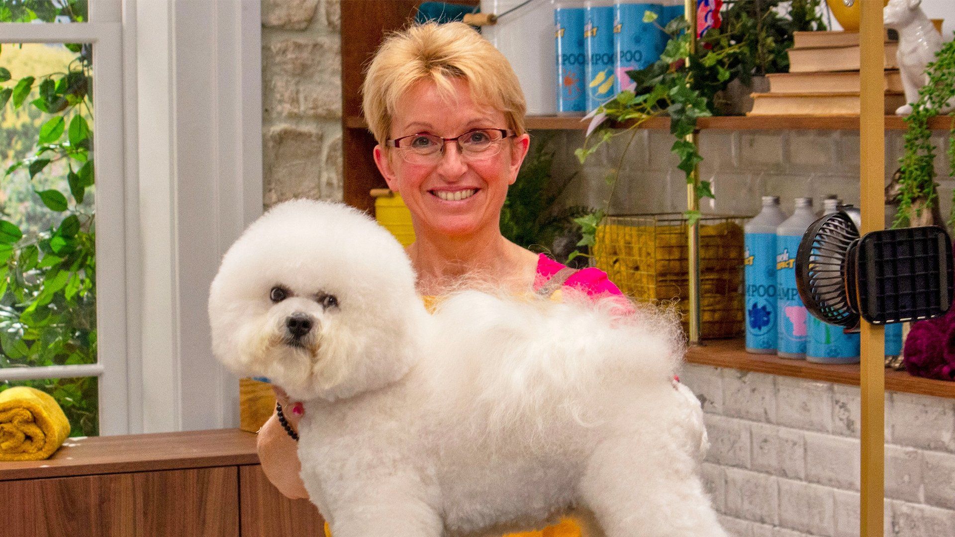 Pooch Perfect UK background