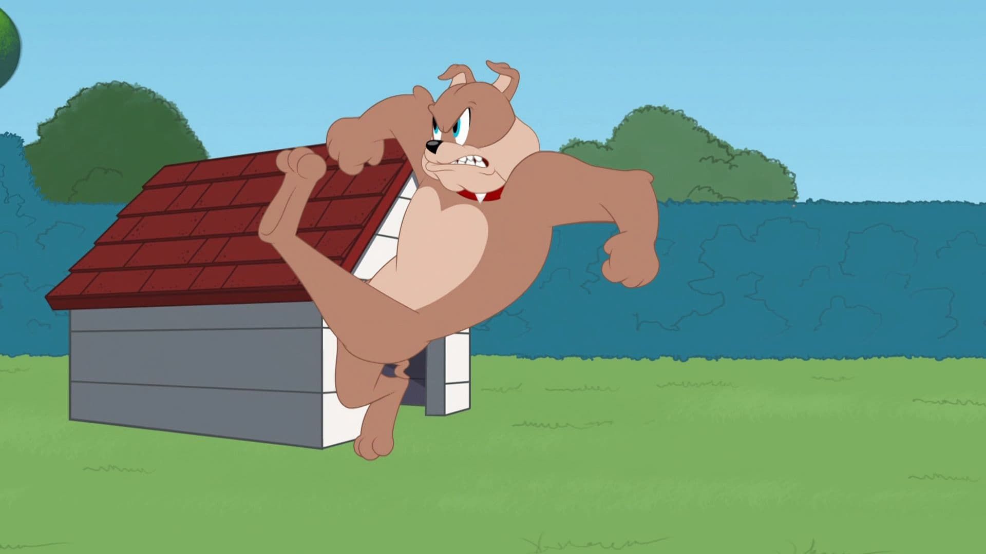 The Tom and Jerry Show background