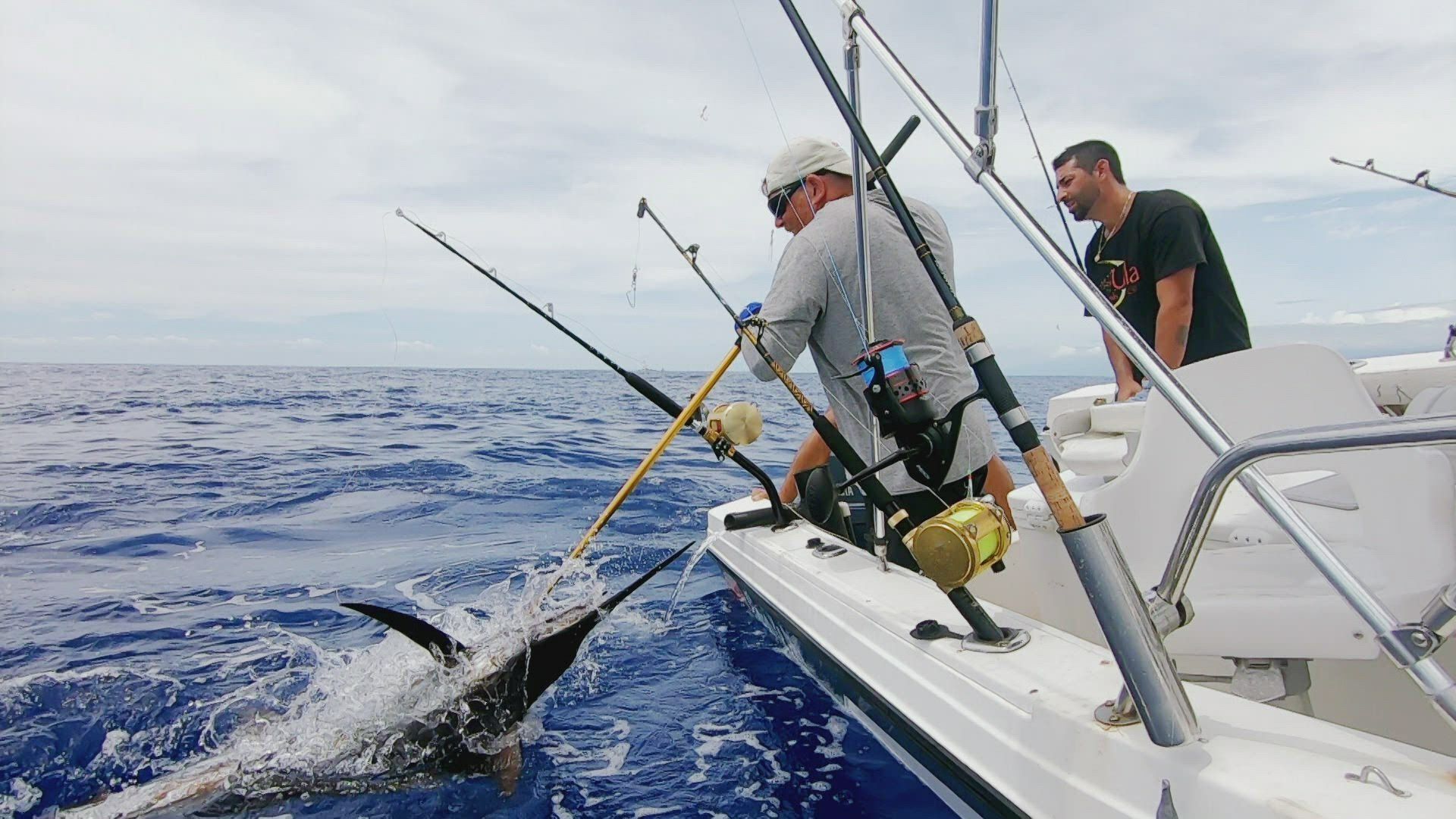 Deadliest Catch: Bloodline background