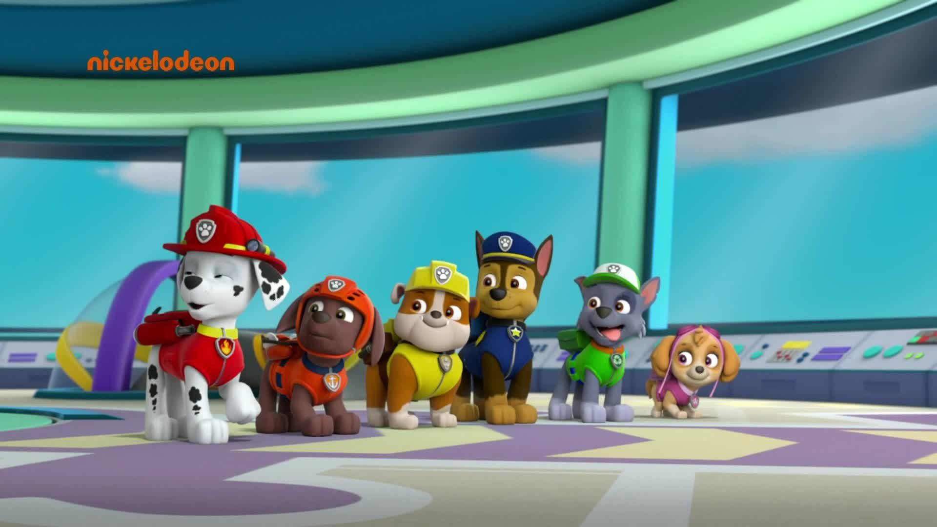 PAW Patrol background