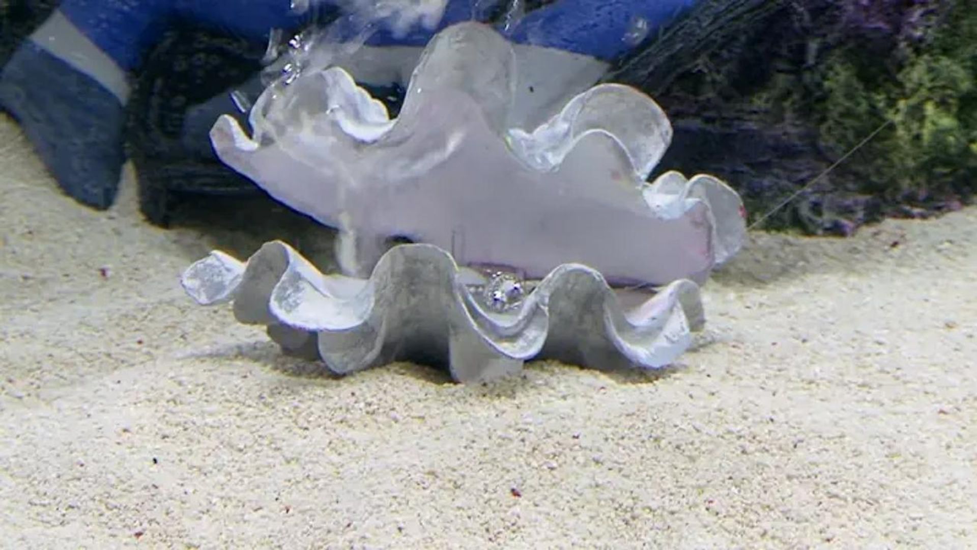 Tanked background