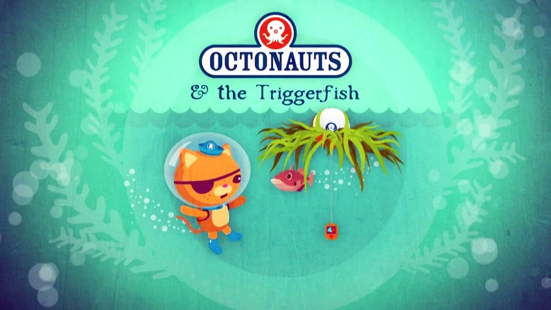 The Octonauts background