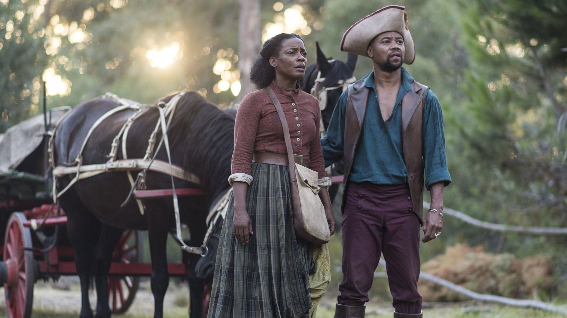 The Book of Negroes background