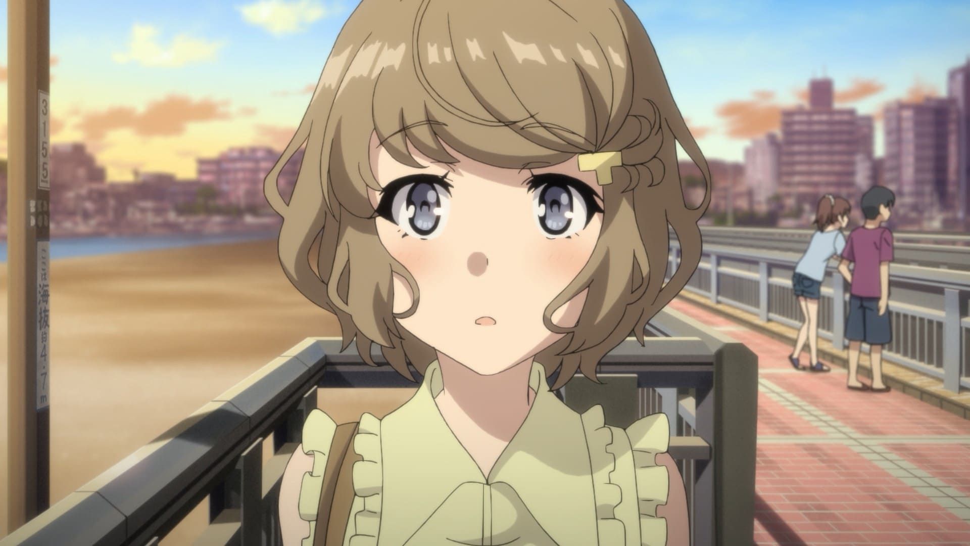 Rascal Does Not Dream of Bunny Girl Senpai background