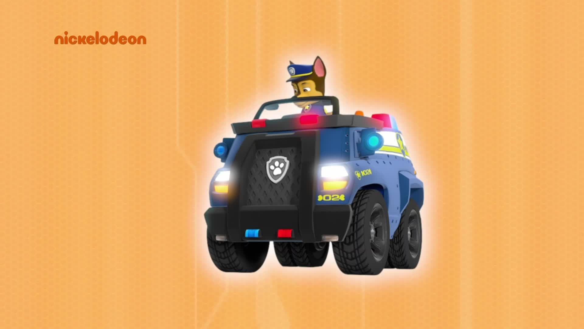 PAW Patrol background