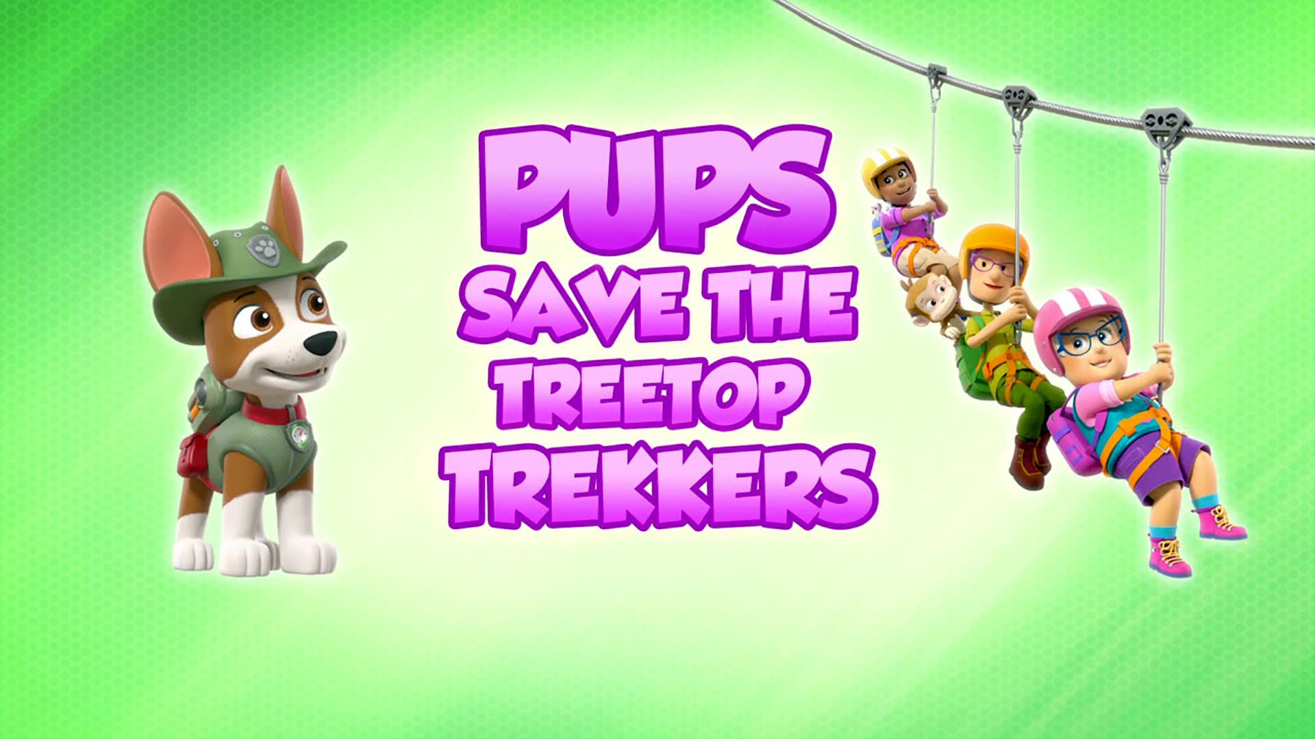 PAW Patrol background